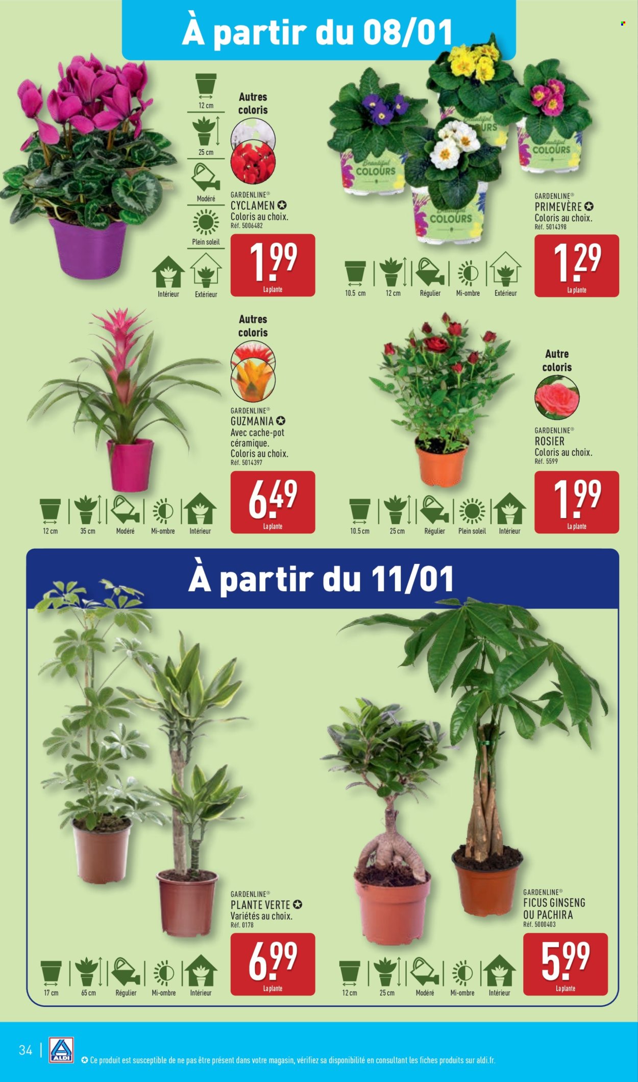 Catalogue ALDI - 07/01/2025 - 13/01/2025. Page 37