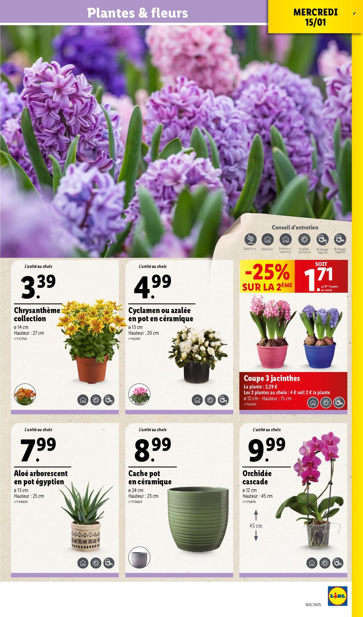 Catalogue Lidl - 15/01/2025 - 21/01/2025. Page 31