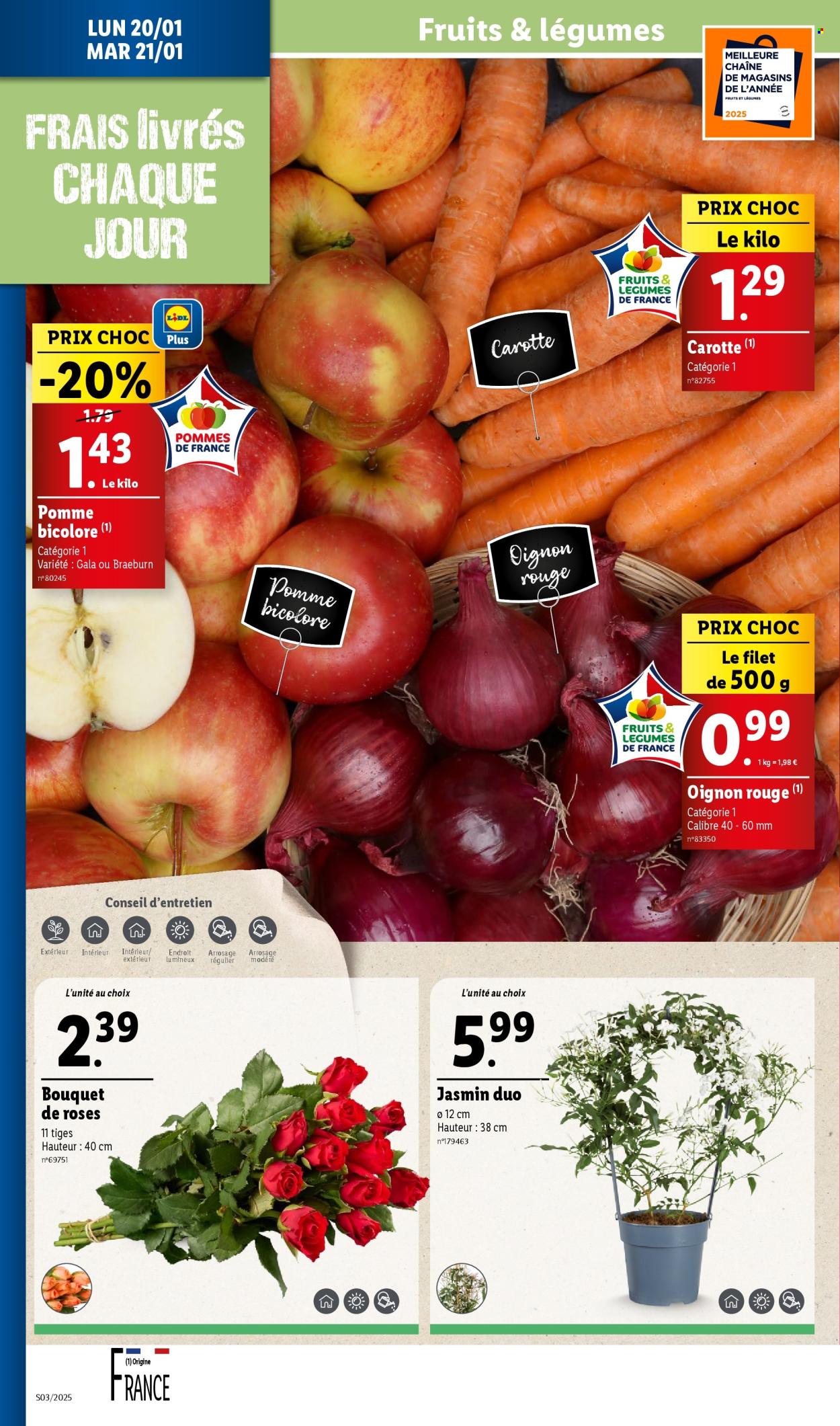 Catalogue Lidl - 15/01/2025 - 21/01/2025. Page 32