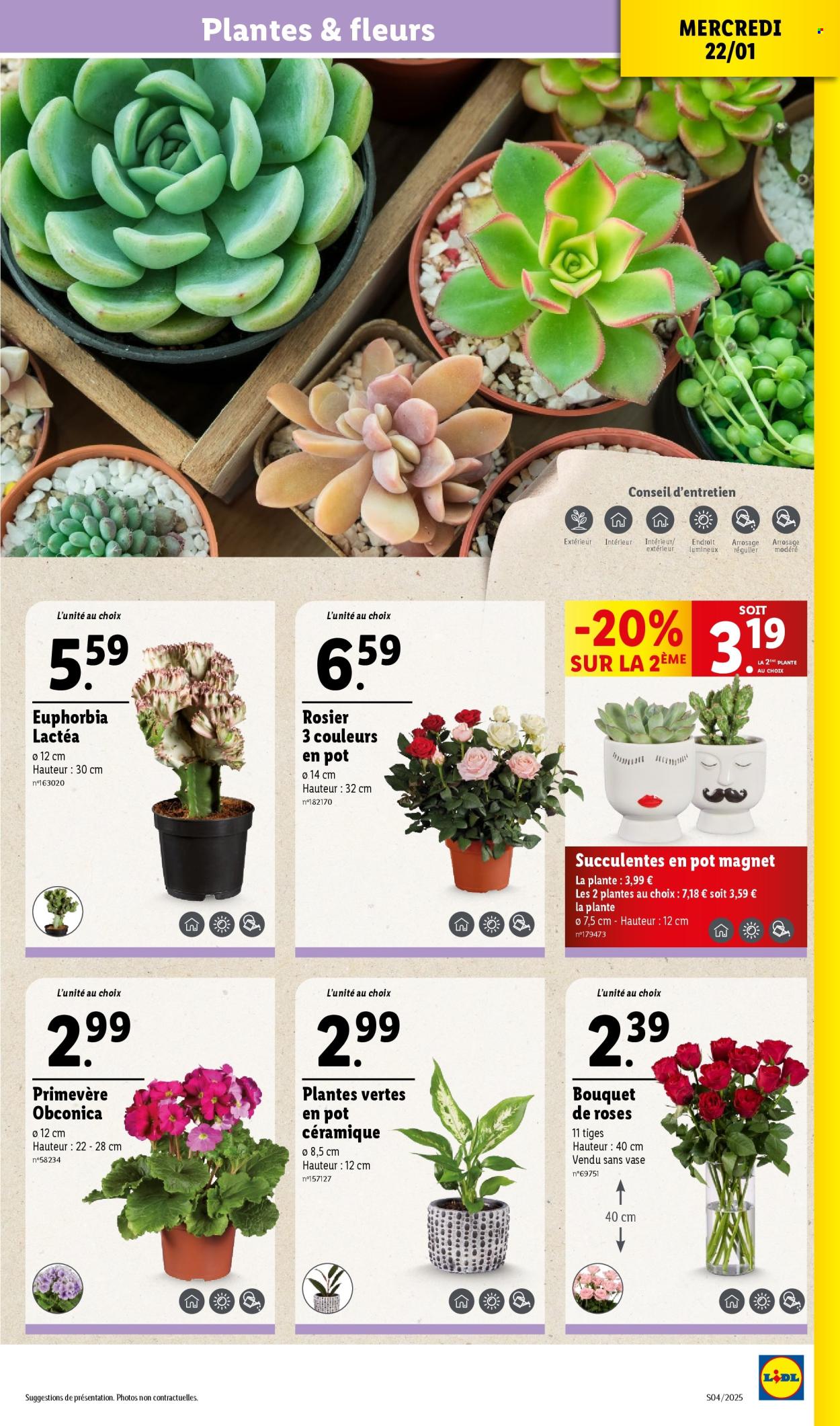 Catalogue Lidl - 22/01/2025 - 28/01/2025. Page 35