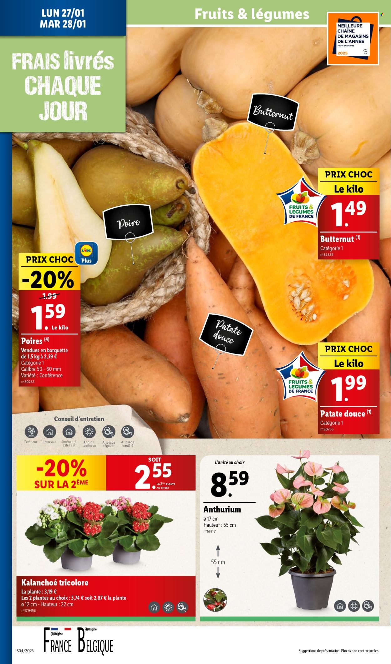 Catalogue Lidl - 22/01/2025 - 28/01/2025. Page 36