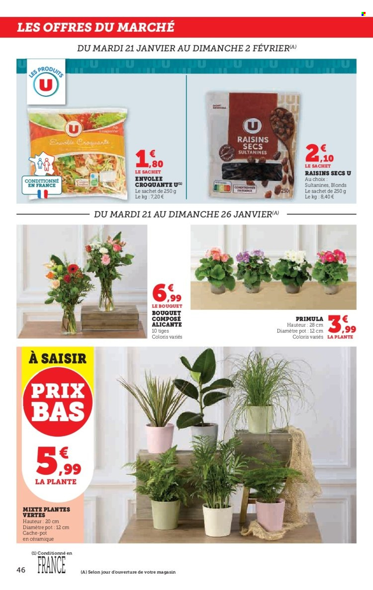 Catalogue HYPER U - 21/01/2025 - 02/02/2025. Page 46