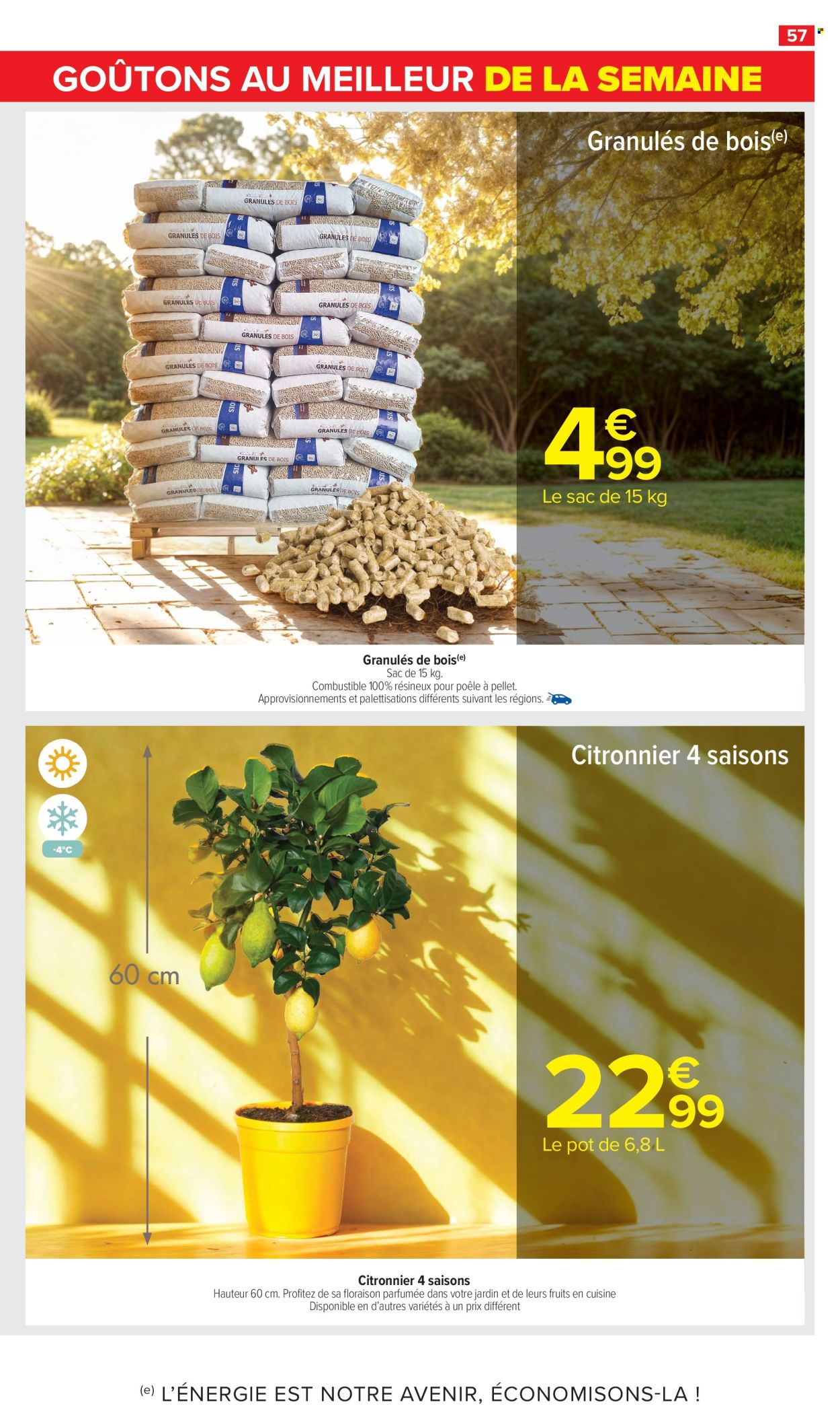 Catalogue Carrefour Market - 21/01/2025 - 02/02/2025. Page 59