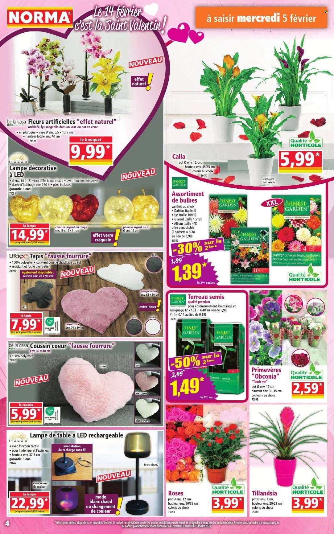 Catalogue Norma - 05/02/2025 - 11/02/2025. Page 4