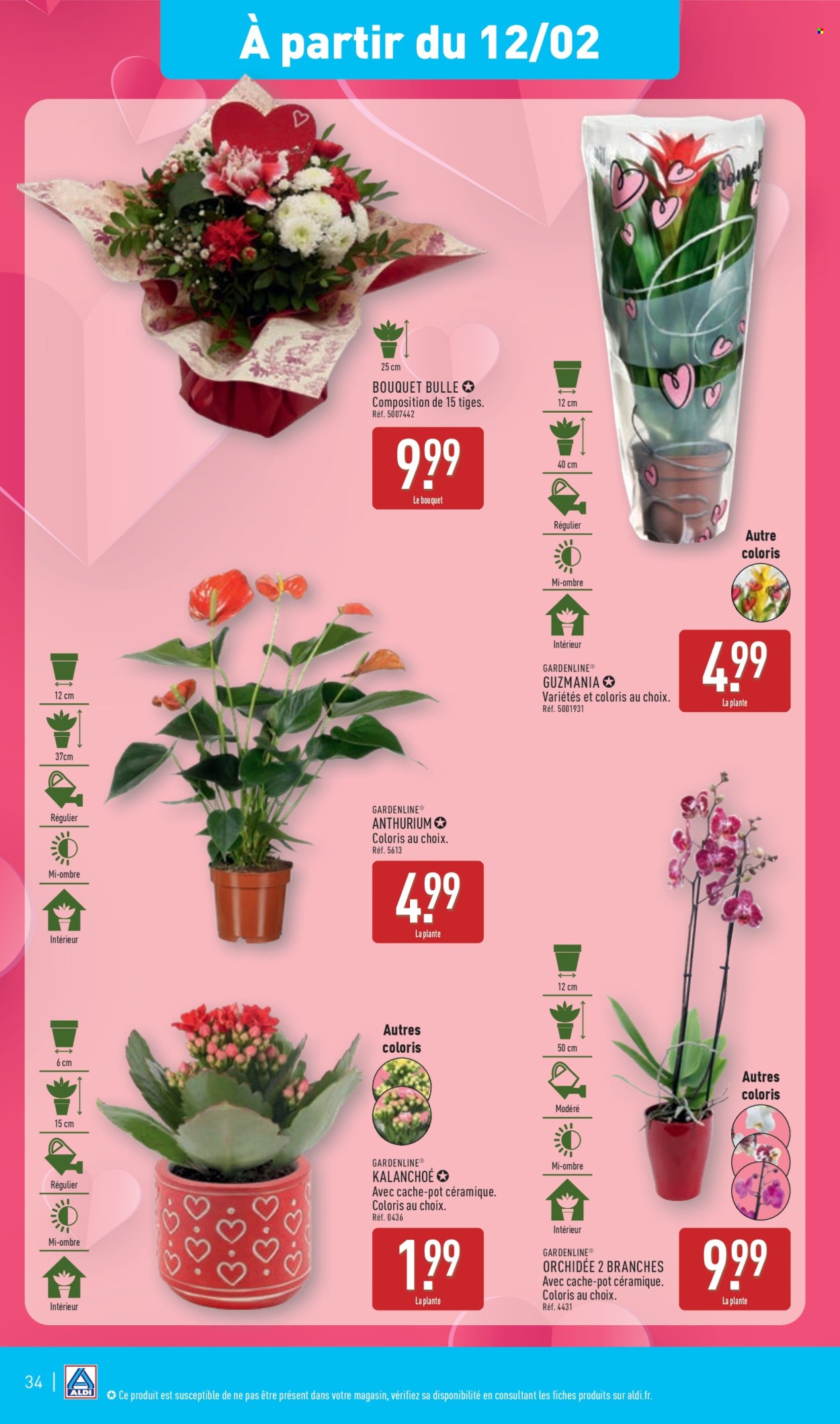 Catalogue ALDI - 11/02/2025 - 17/02/2025. Page 37