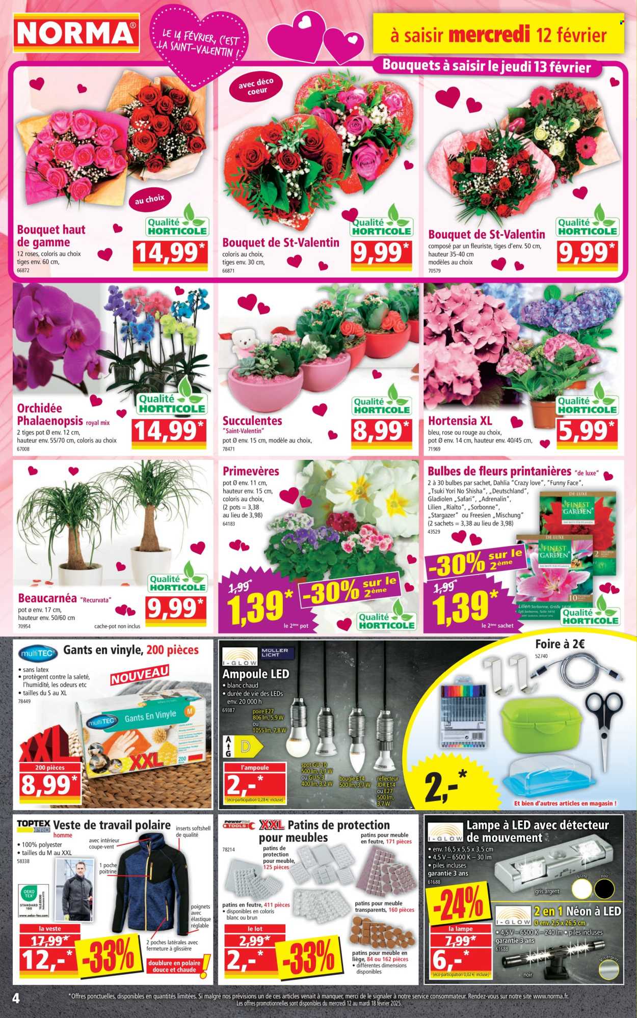 Catalogue Norma - 12/02/2025 - 18/02/2025. Page 4