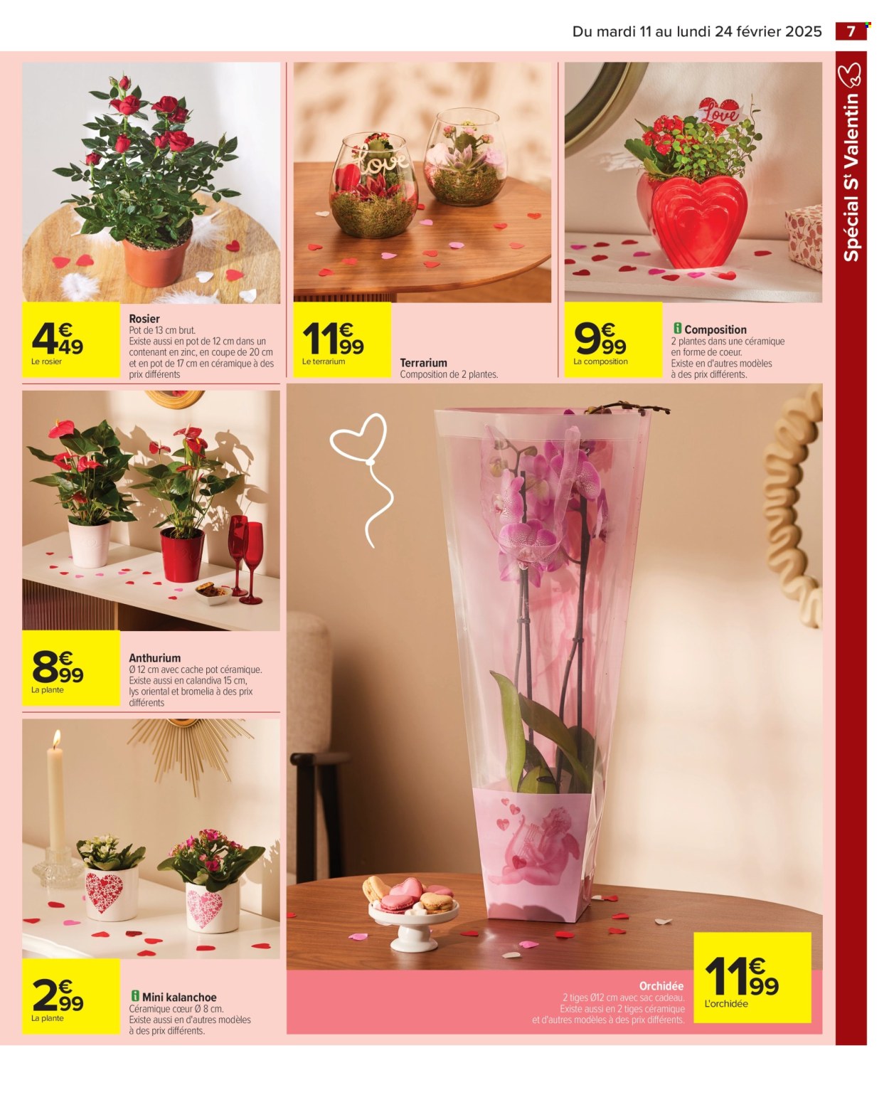 Catalogue Carrefour Hypermarchés - 11/02/2025 - 24/02/2025. Page 9