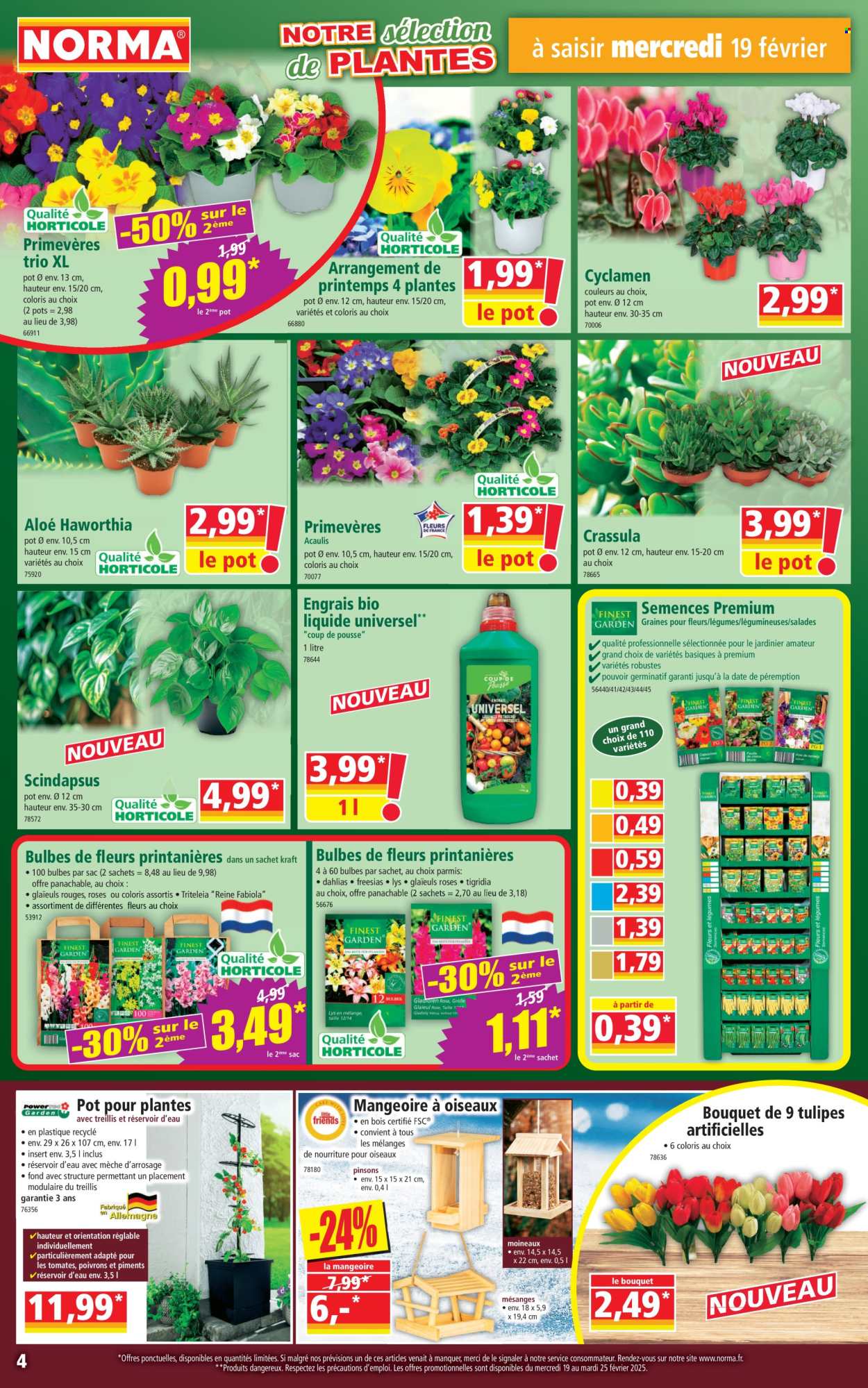 Catalogue Norma - 19/02/2025 - 25/02/2025. Page 4