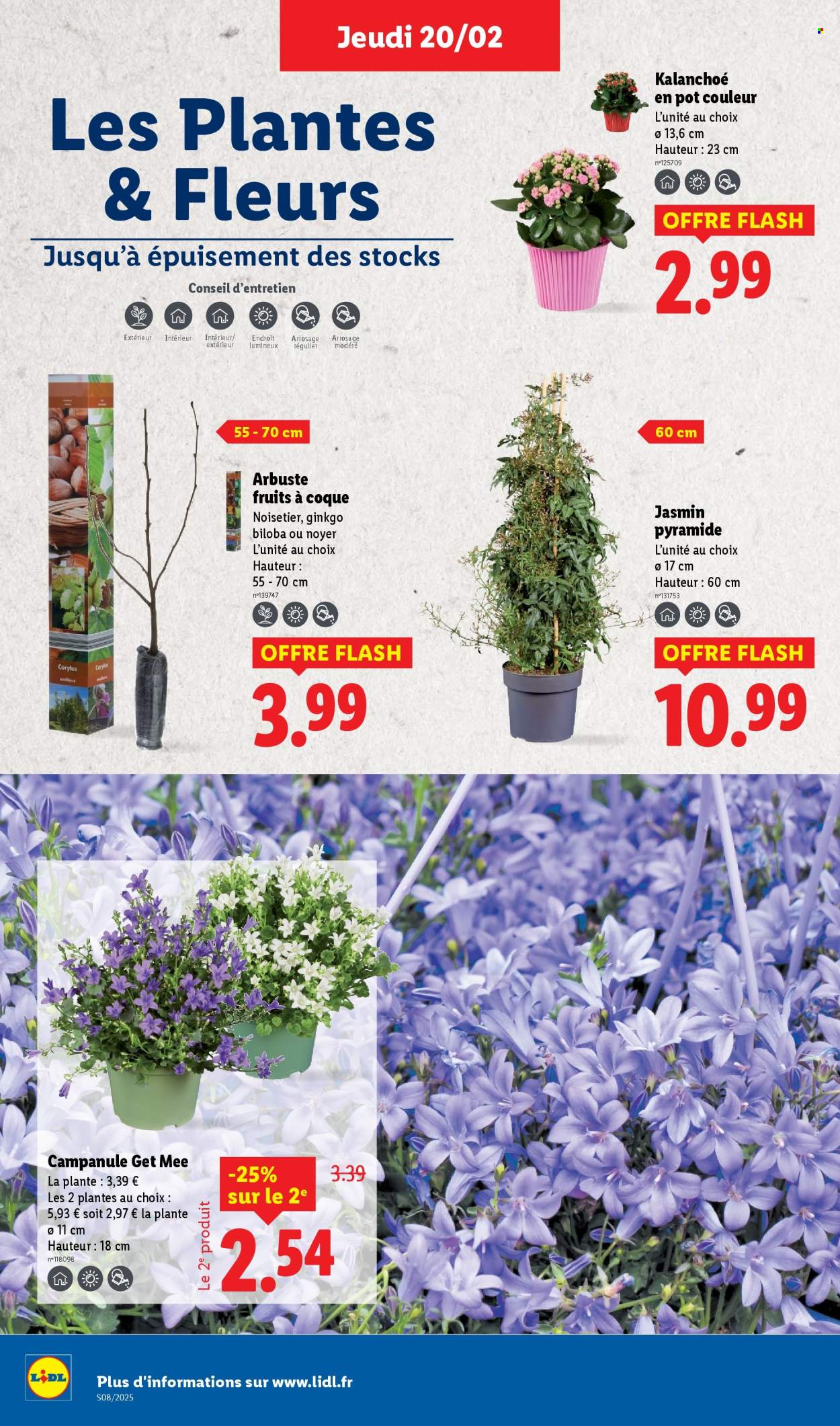 Catalogue Lidl - 20/02/2025 - 26/02/2025. Page 34