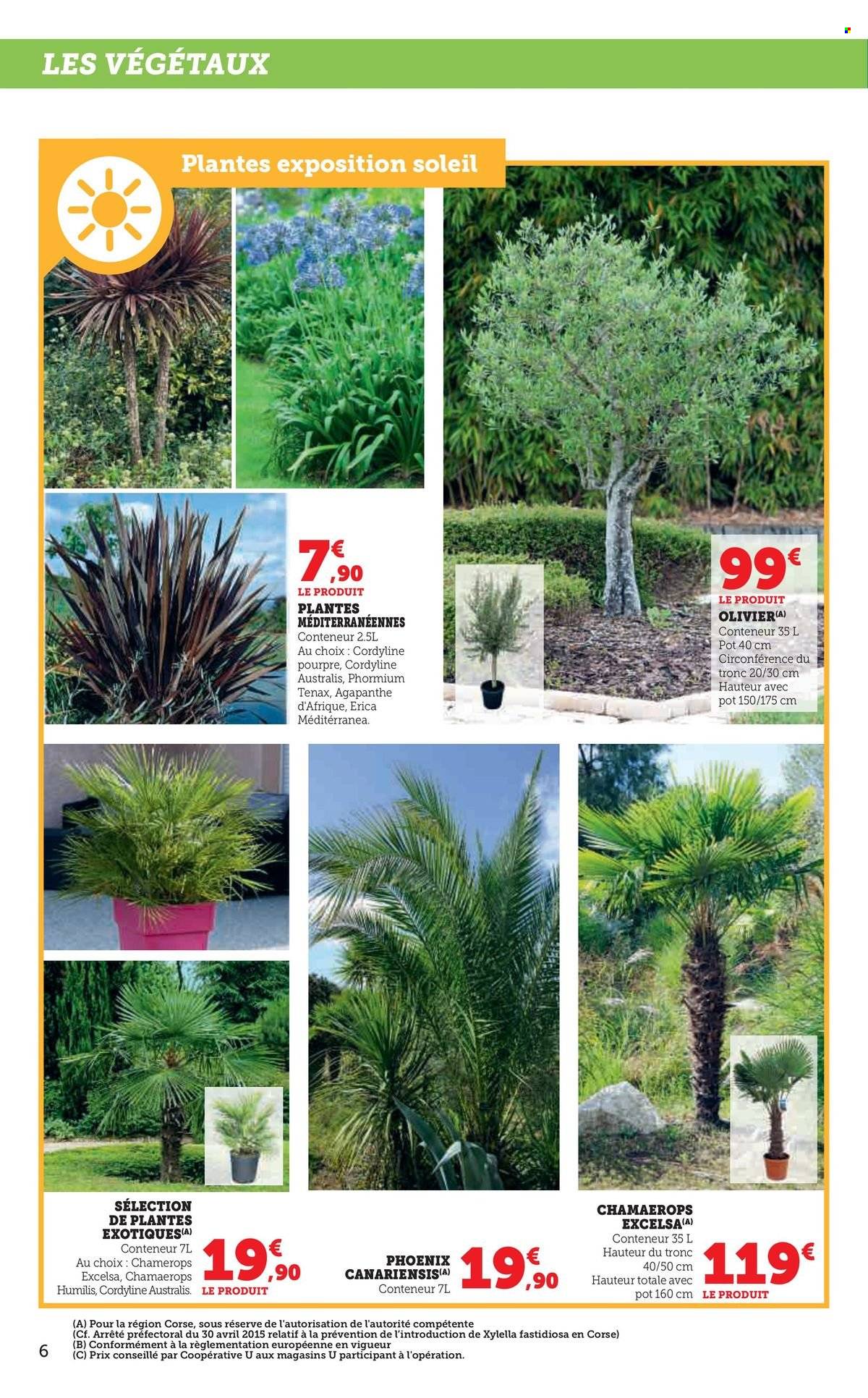 Catalogue SUPER U - 18/02/2025 - 16/03/2025. Page 6