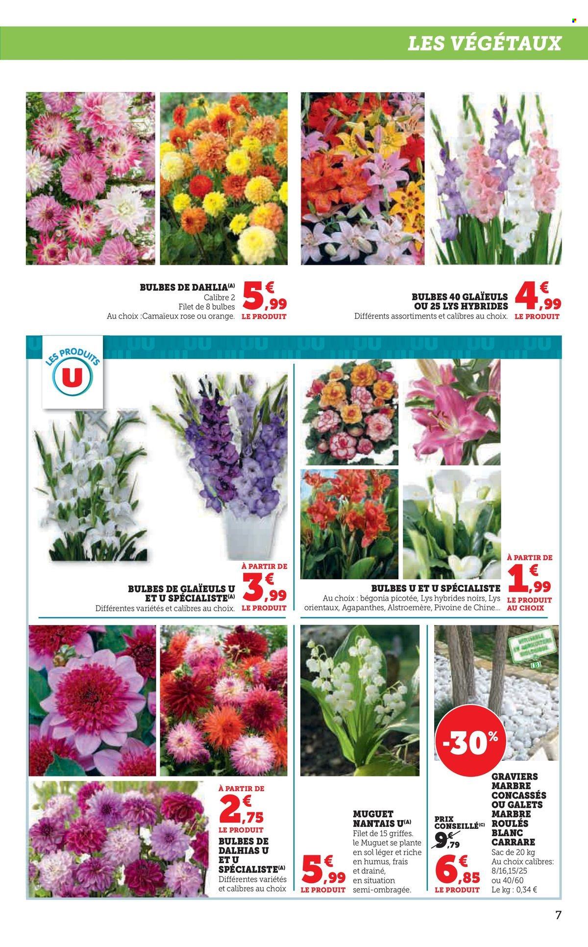 Catalogue SUPER U - 18/02/2025 - 16/03/2025. Page 7