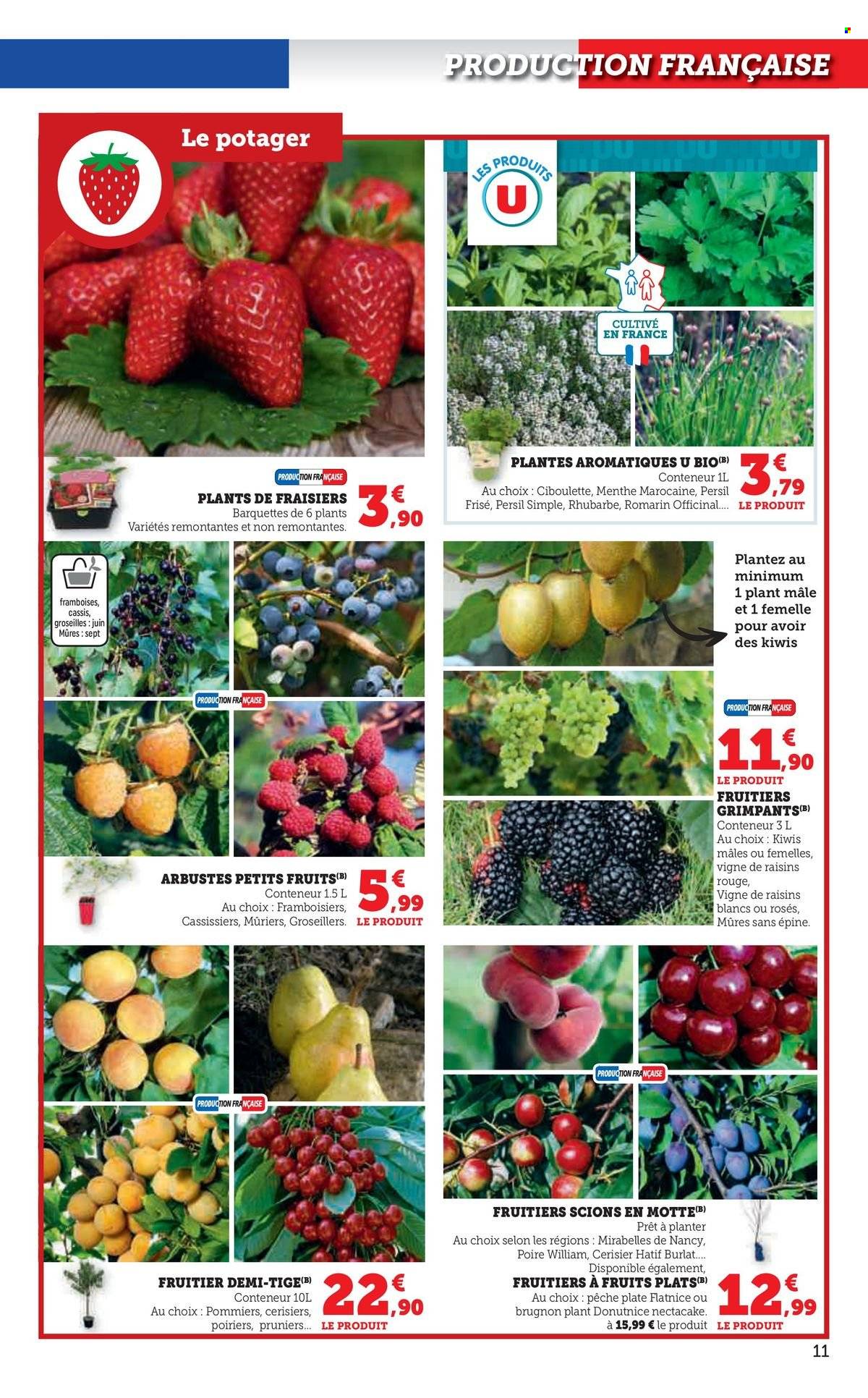 Catalogue SUPER U - 18/02/2025 - 16/03/2025. Page 11
