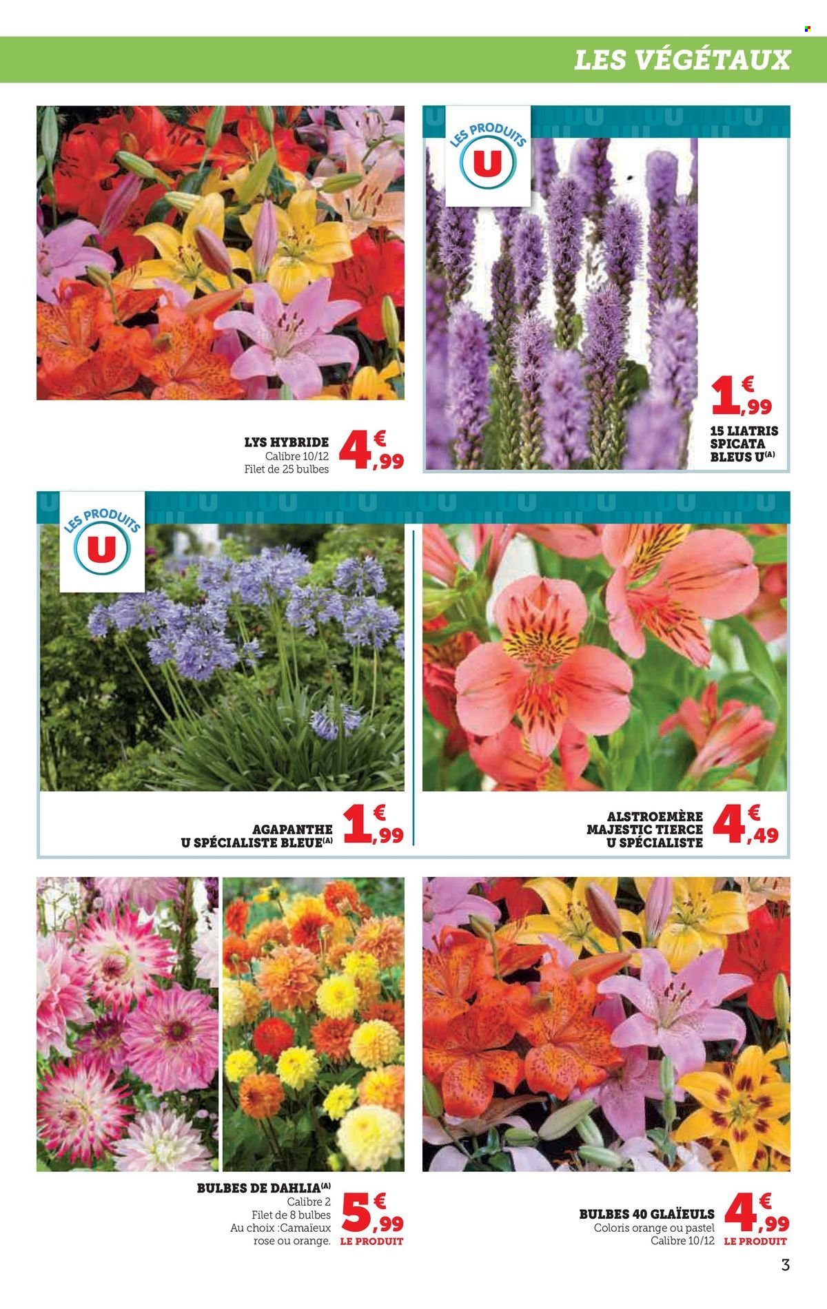 Catalogue U express - 18/02/2025 - 02/03/2025. Page 3