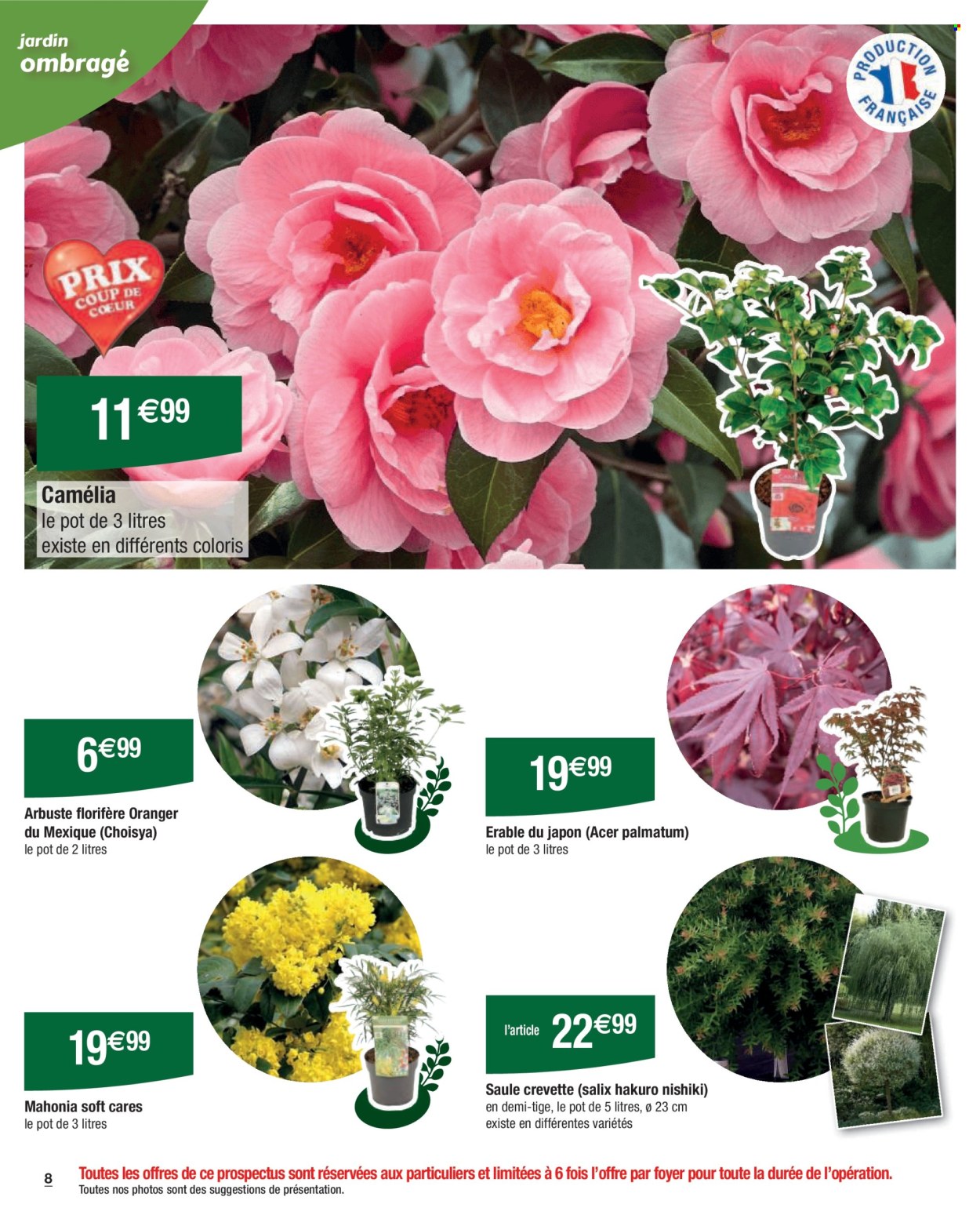 Catalogue Carrefour Hypermarchés - 21/02/2025 - 10/03/2025. Page 8