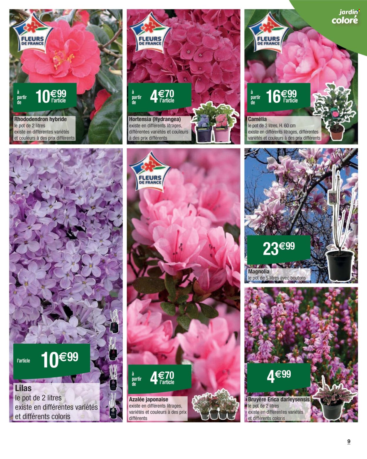 Catalogue Carrefour Hypermarchés - 21/02/2025 - 10/03/2025. Page 9