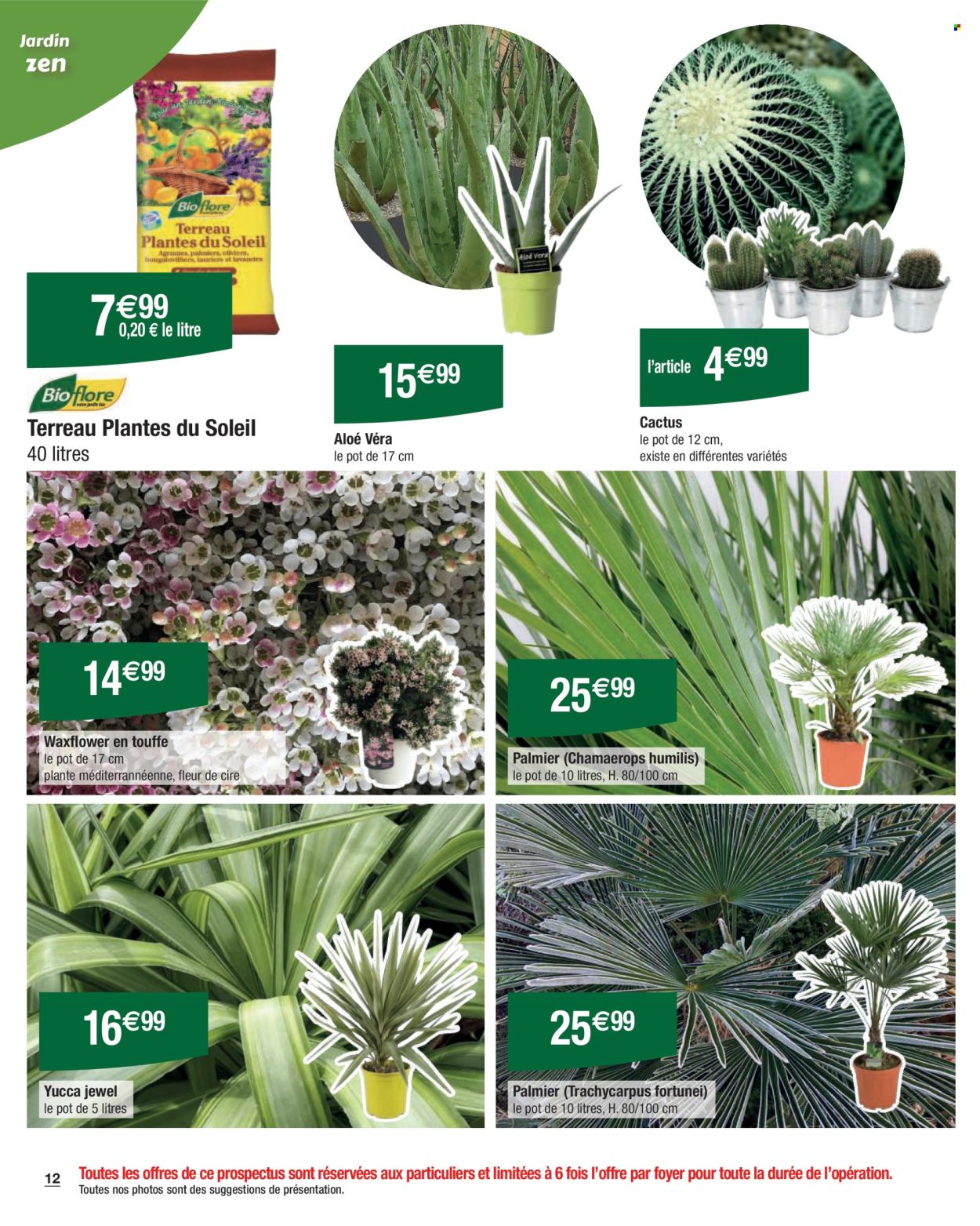 Catalogue Carrefour Hypermarchés - 21/02/2025 - 10/03/2025. Page 12