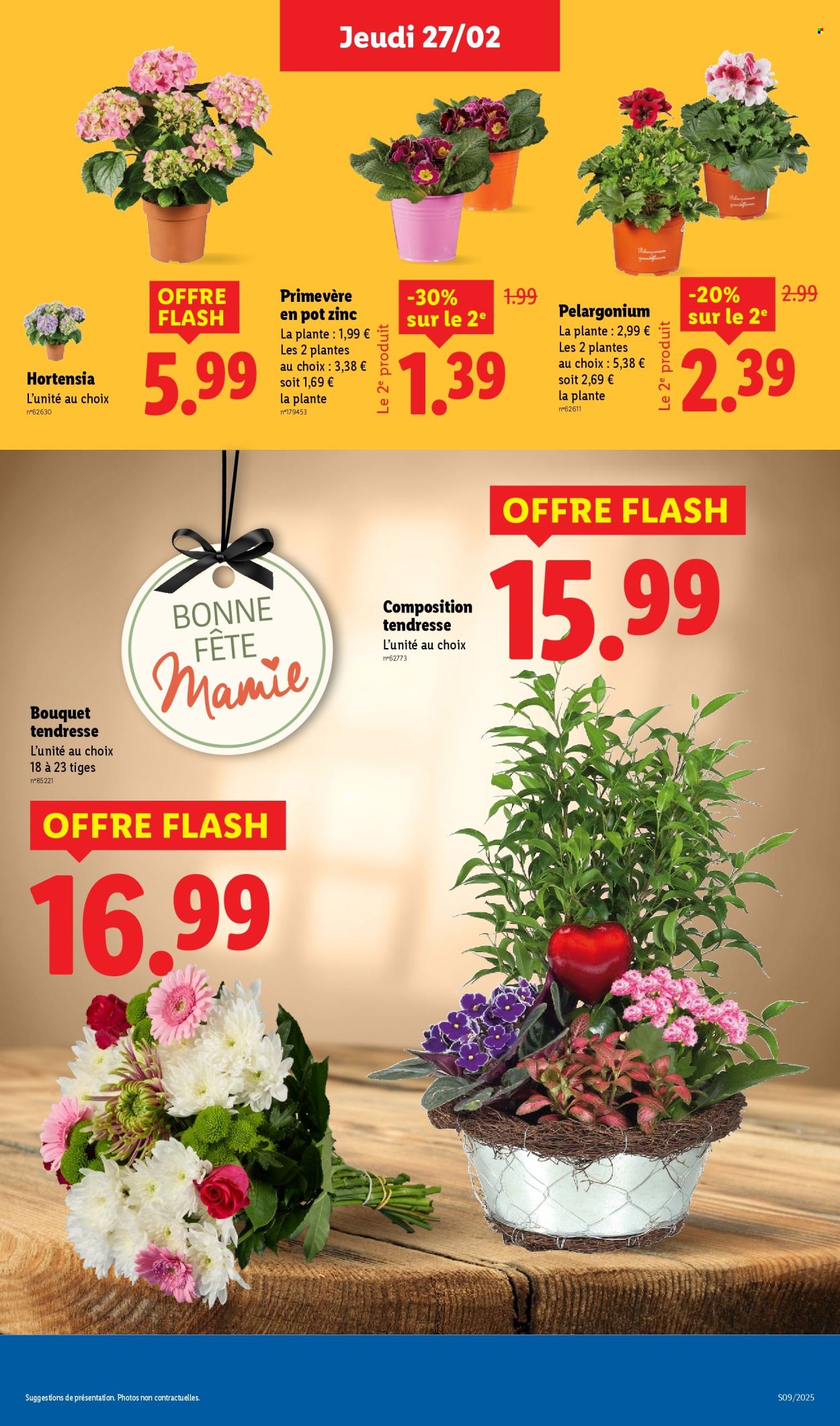 Catalogue Lidl - 27/02/2025 - 05/03/2025. Page 31