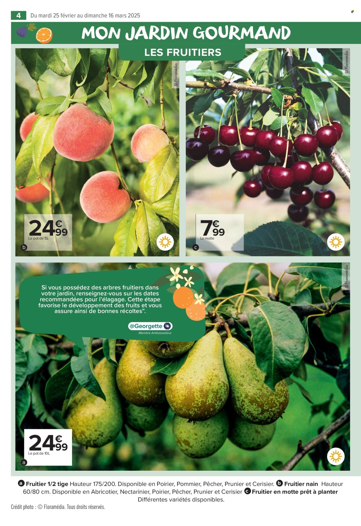 Catalogue Carrefour Market - 25/02/2025 - 16/03/2025. Page 4