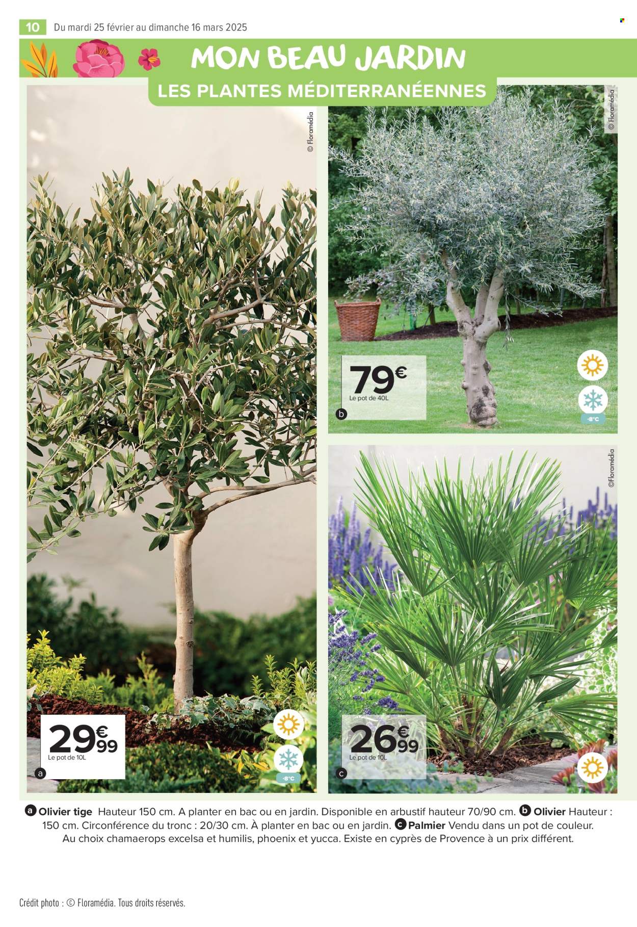 Catalogue Carrefour Market - 25/02/2025 - 16/03/2025. Page 10