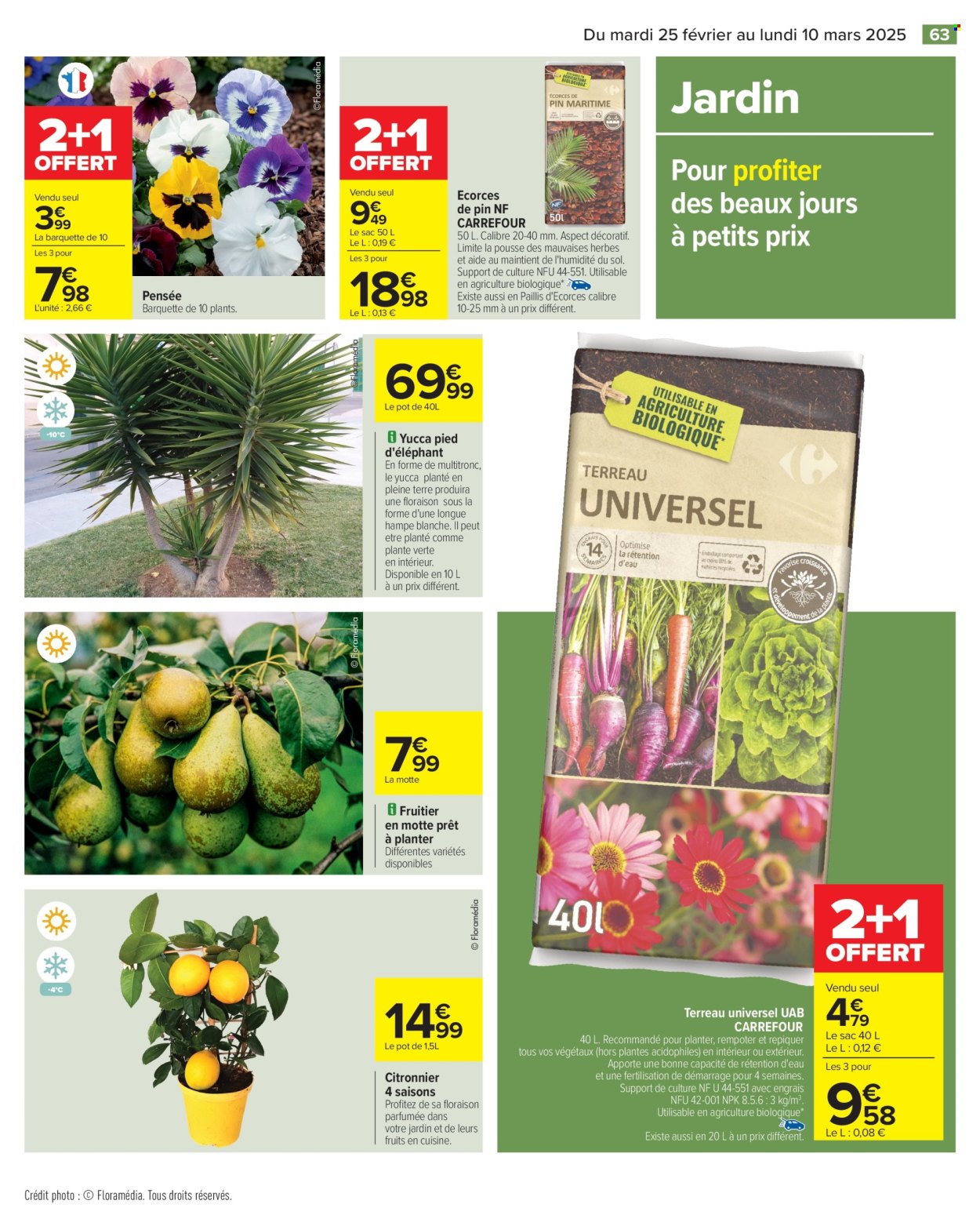 Catalogue Carrefour Hypermarchés - 25/02/2025 - 10/03/2025. Page 65