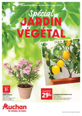Catalogue Auchan - 25/02/2025 - 02/03/2025.