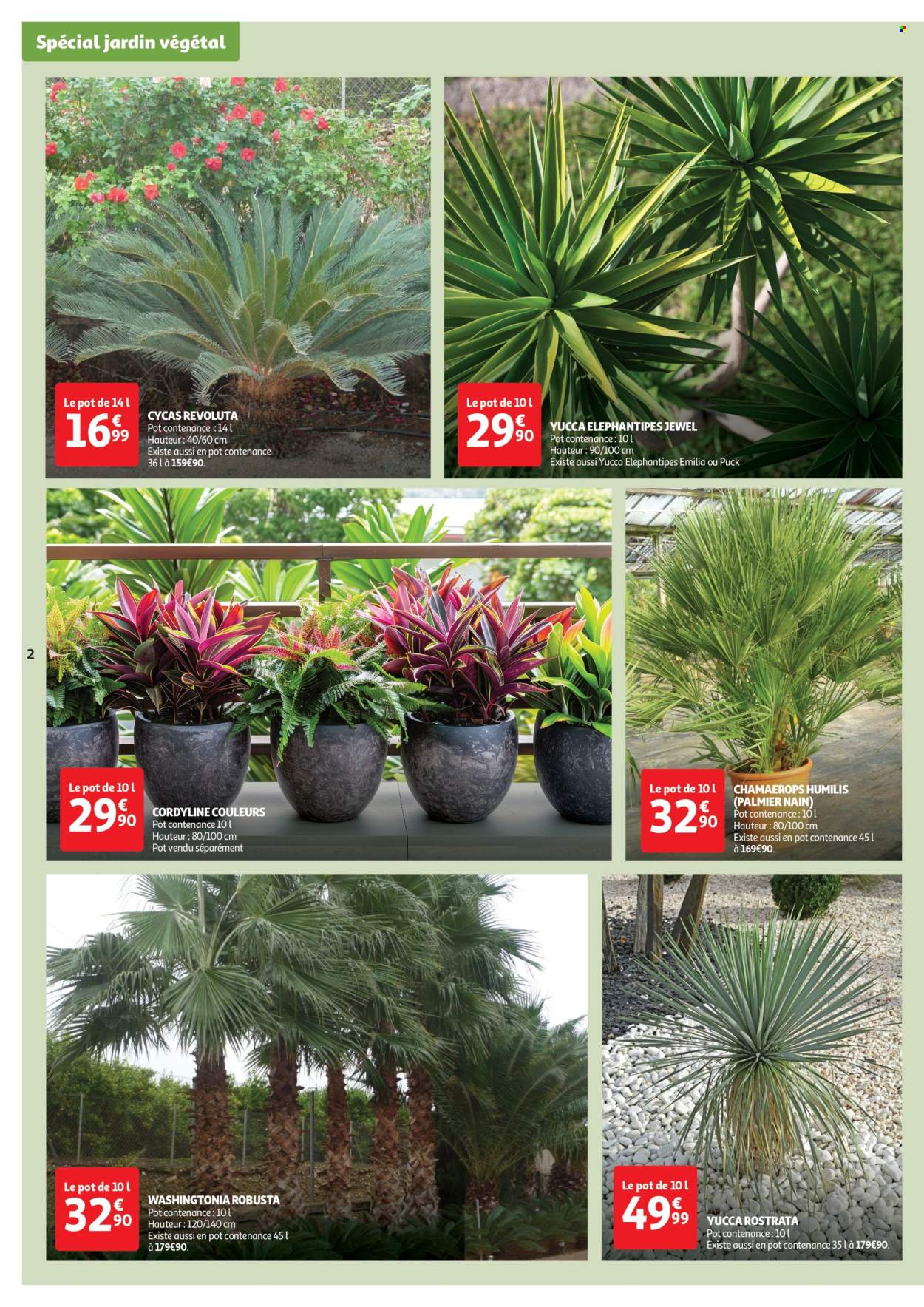 Catalogue Auchan - 25/02/2025 - 02/03/2025. Page 2