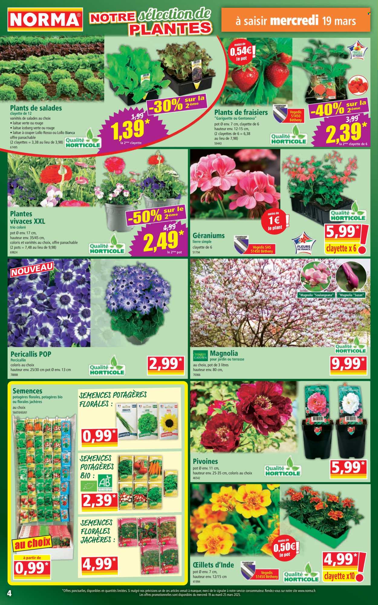 Catalogue Norma - 19/03/2025 - 25/03/2025. Page 4