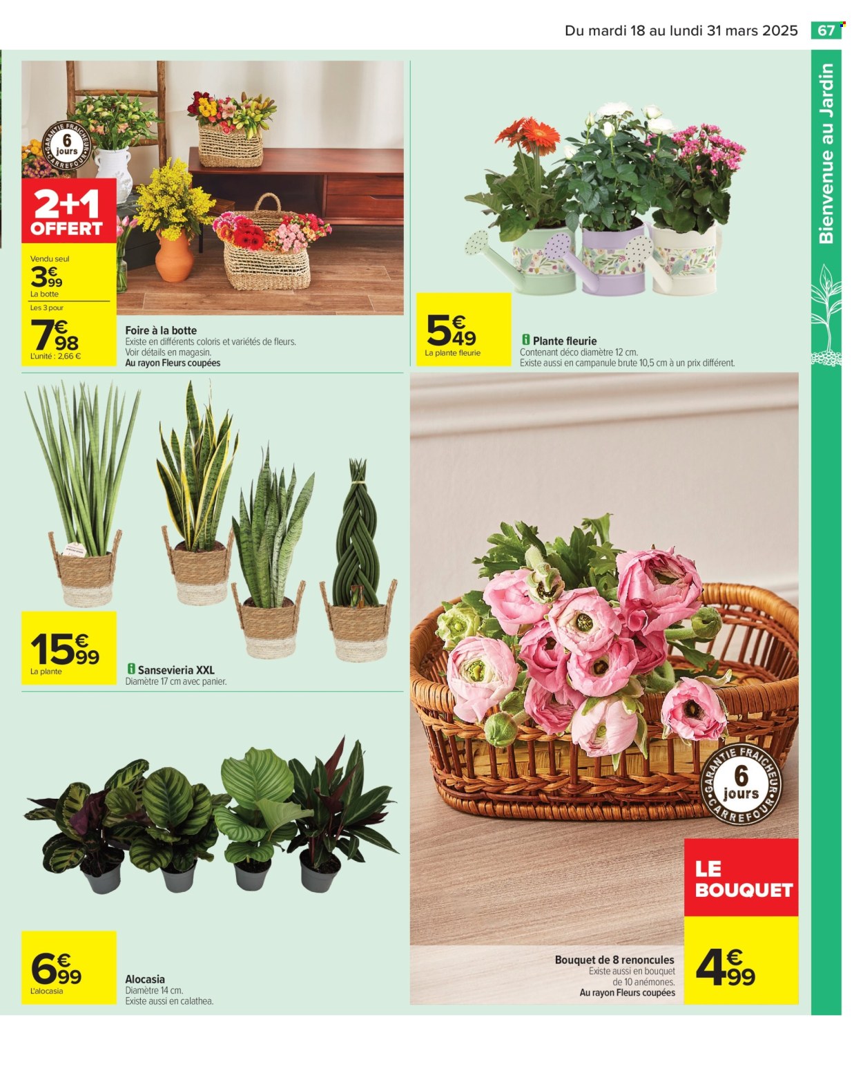 Catalogue Carrefour Hypermarchés - 18/03/2025 - 31/03/2025. Page 69
