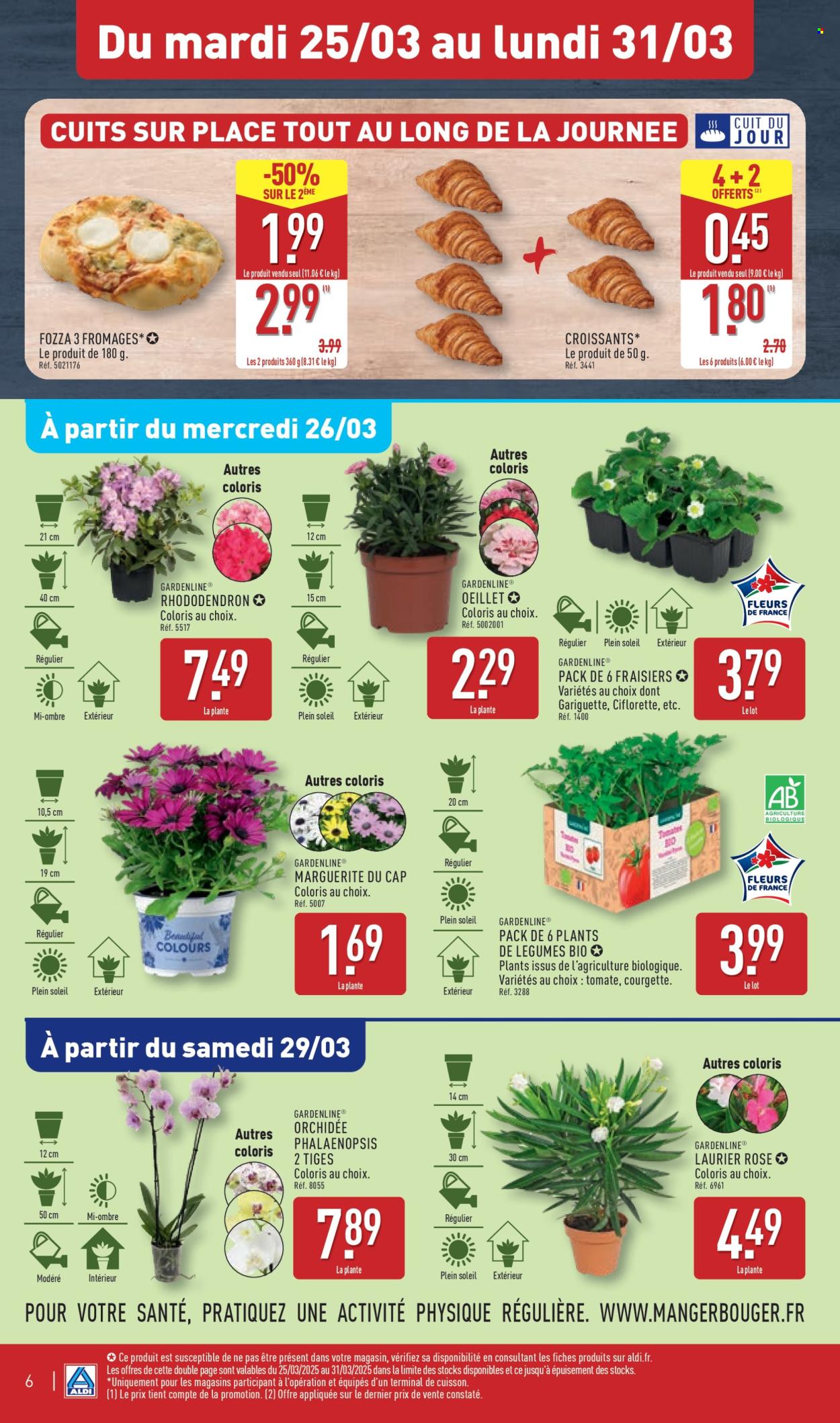 Catalogue ALDI - 25/03/2025 - 31/03/2025. Page 8