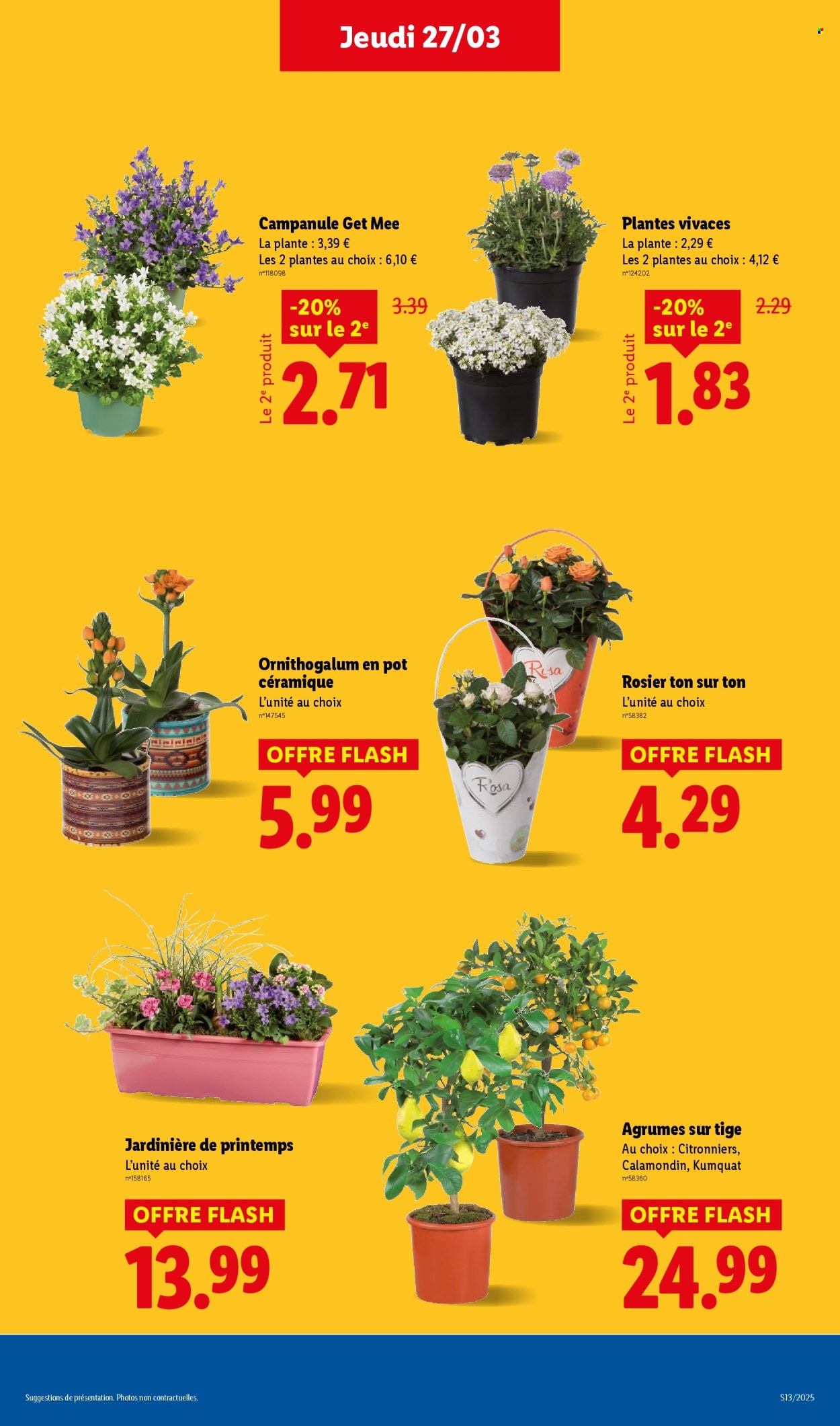 Catalogue Lidl - 27/03/2025 - 02/04/2025. Page 29