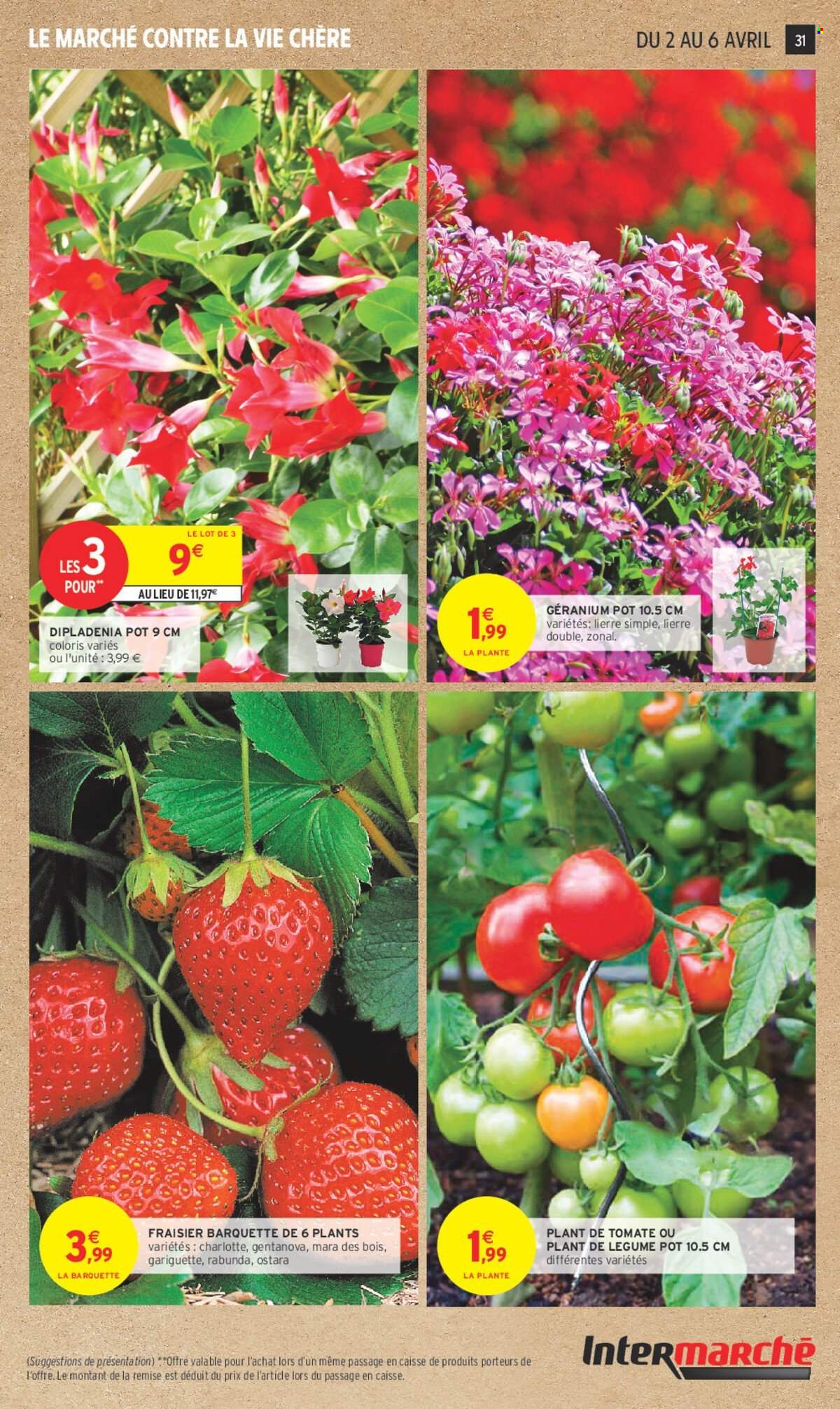 Catalogue Intermarché - 01/04/2025 - 13/04/2025. Page 31