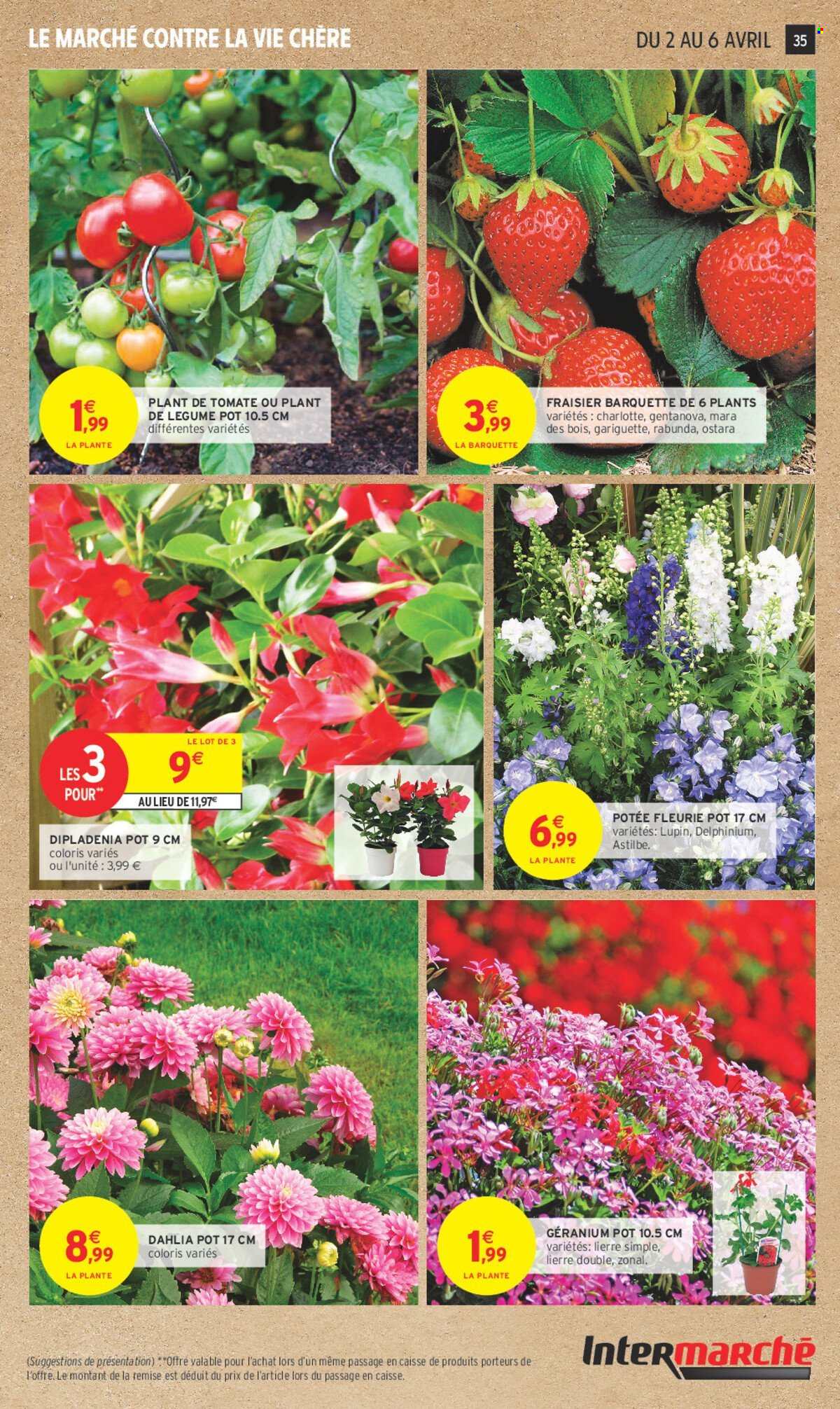 Catalogue Intermarché - 01/04/2025 - 13/04/2025. Page 35