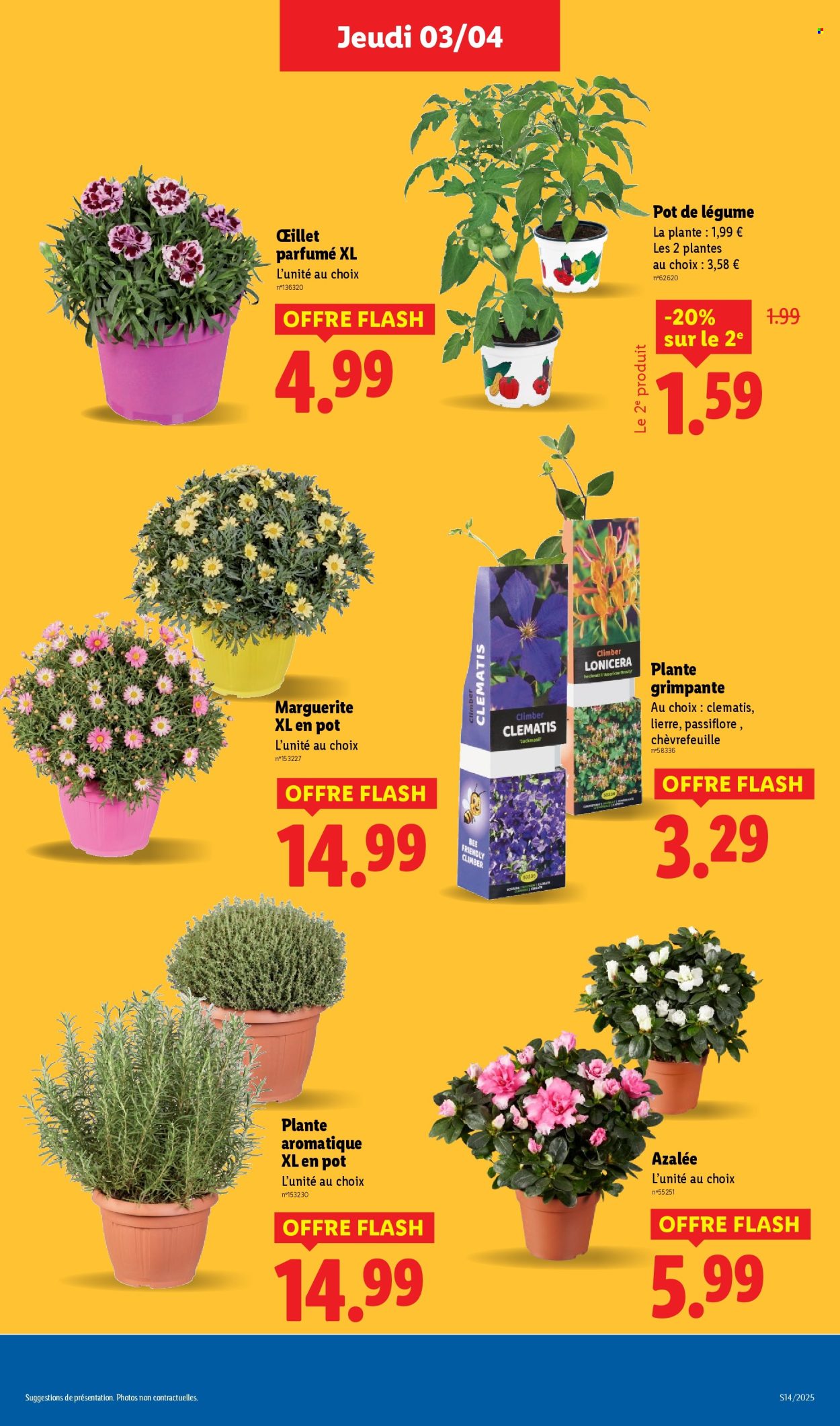 Catalogue Lidl - 03/04/2025 - 09/04/2025. Page 29