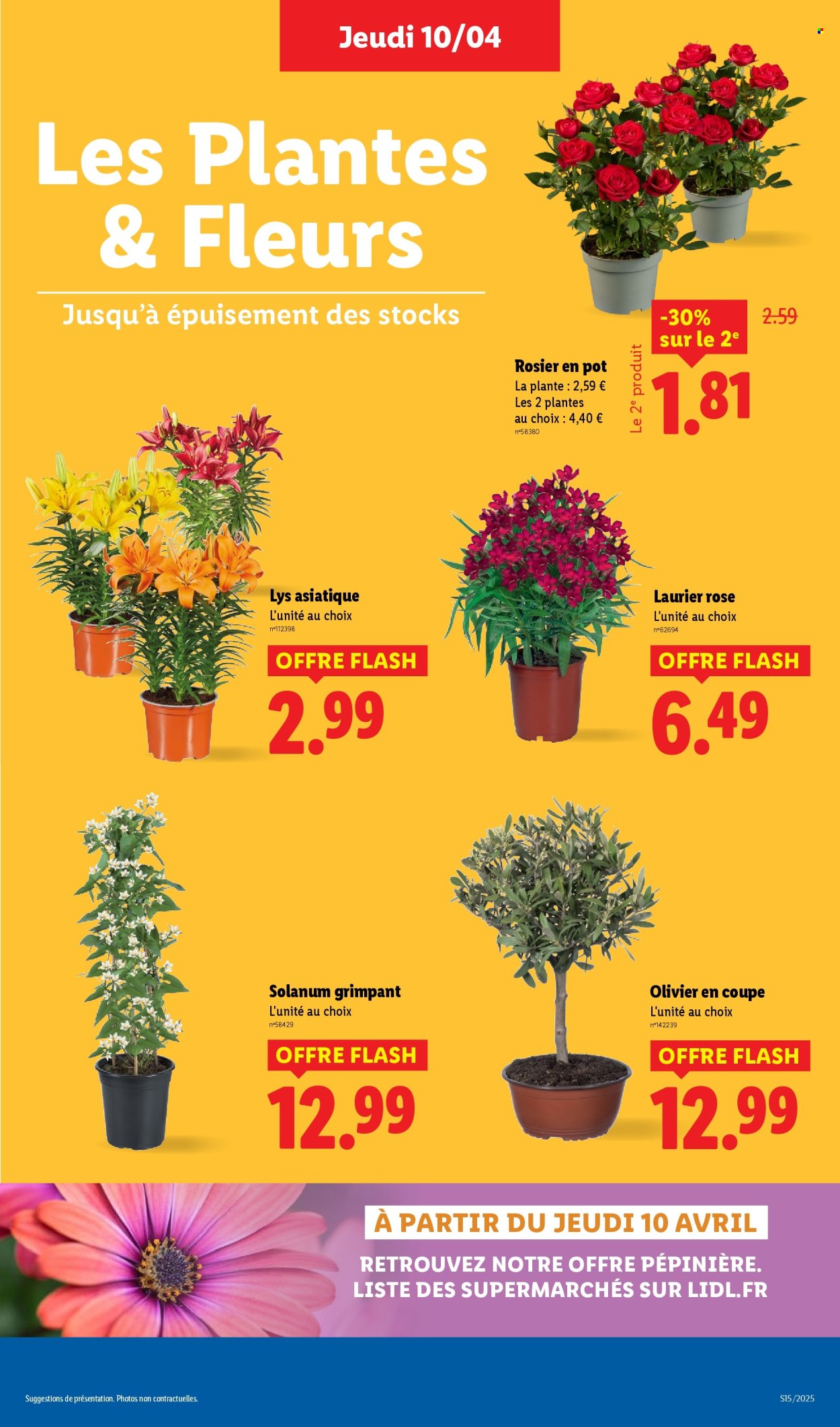 Catalogue Lidl - 10/04/2025 - 16/04/2025. Page 29