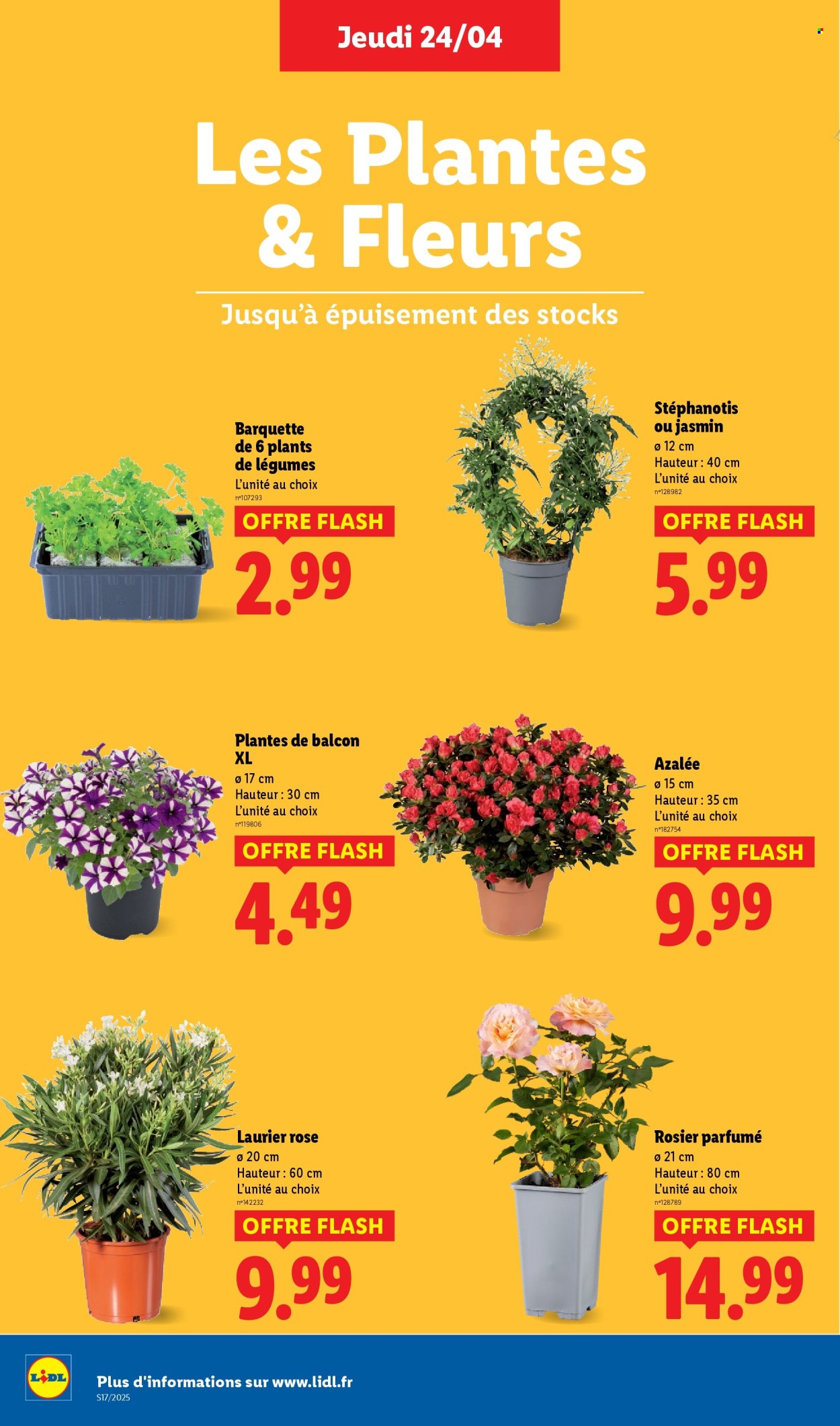 Catalogue Lidl - 24/04/2025 - 29/04/2025. Page 32