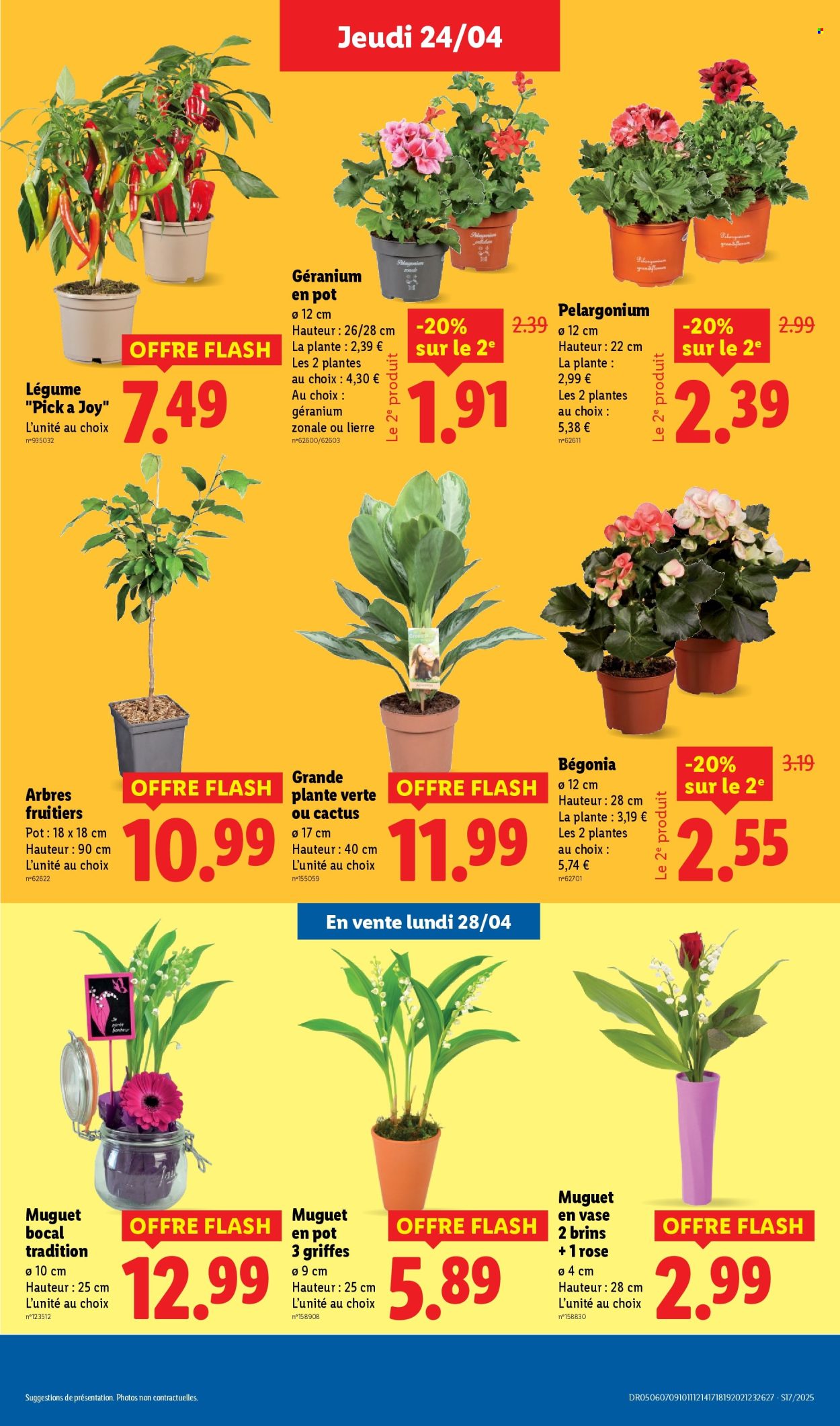 Catalogue Lidl - 24/04/2025 - 29/04/2025. Page 33