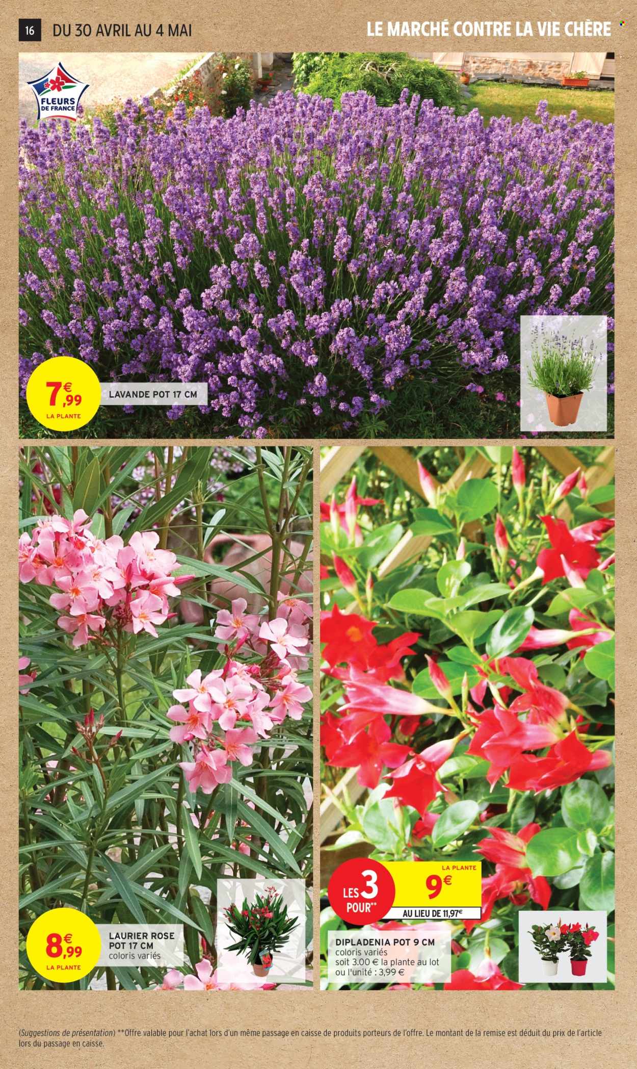 Catalogue Intermarché Super - 29/04/2025 - 11/05/2025. Page 16