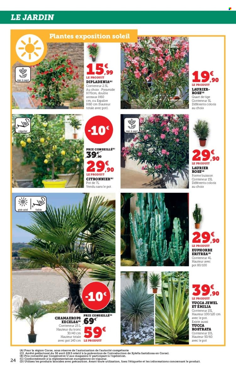 Catalogue SUPER U - 29/04/2025 - 25/05/2025. Page 24