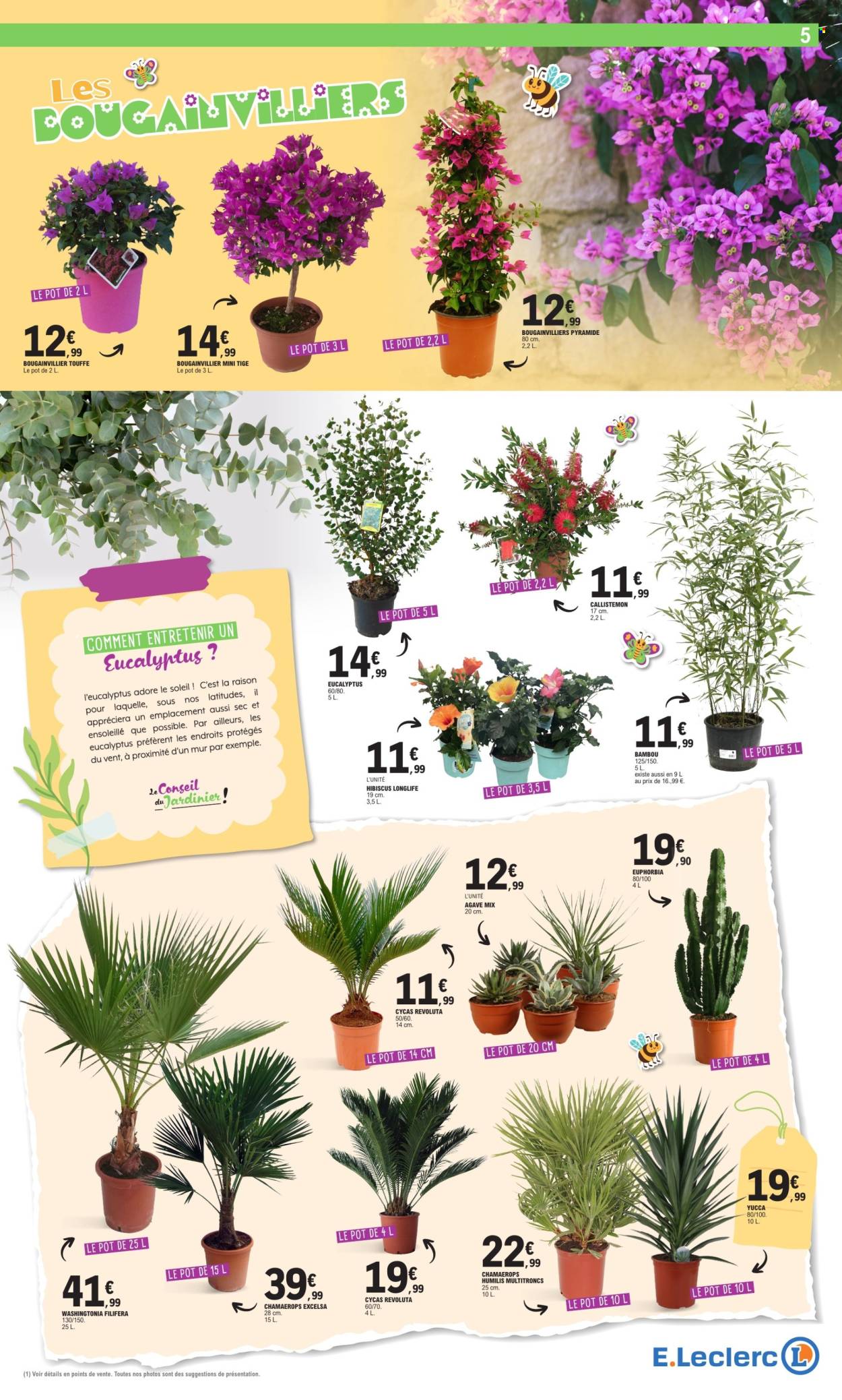 Catalogue E.Leclerc - 29/04/2025 - 10/05/2025. Page 5