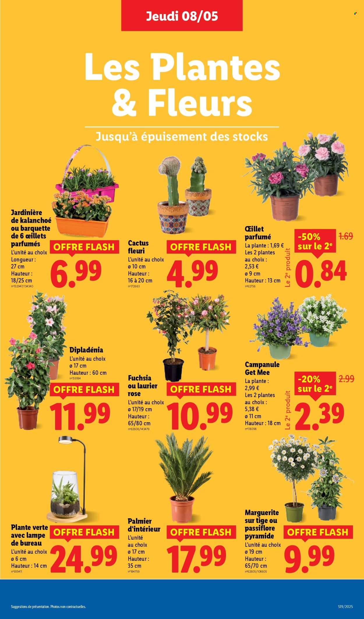 Catalogue Lidl - 08/05/2025 - 14/05/2025. Page 33