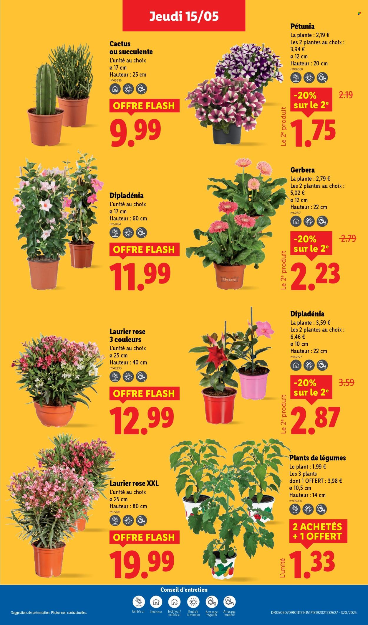 Catalogue Lidl - 15/05/2025 - 21/05/2025. Page 29