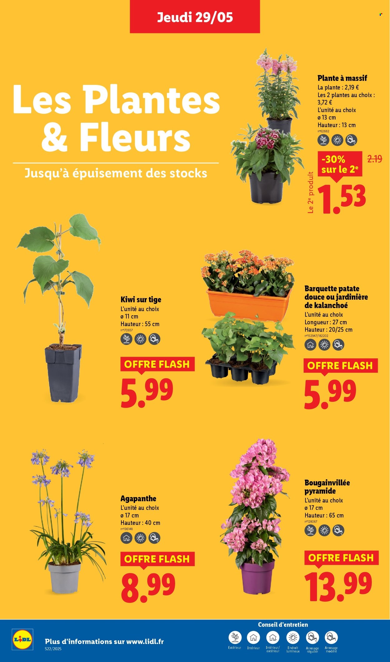 Catalogue Lidl - 29/05/2025 - 04/06/2025. Page 32
