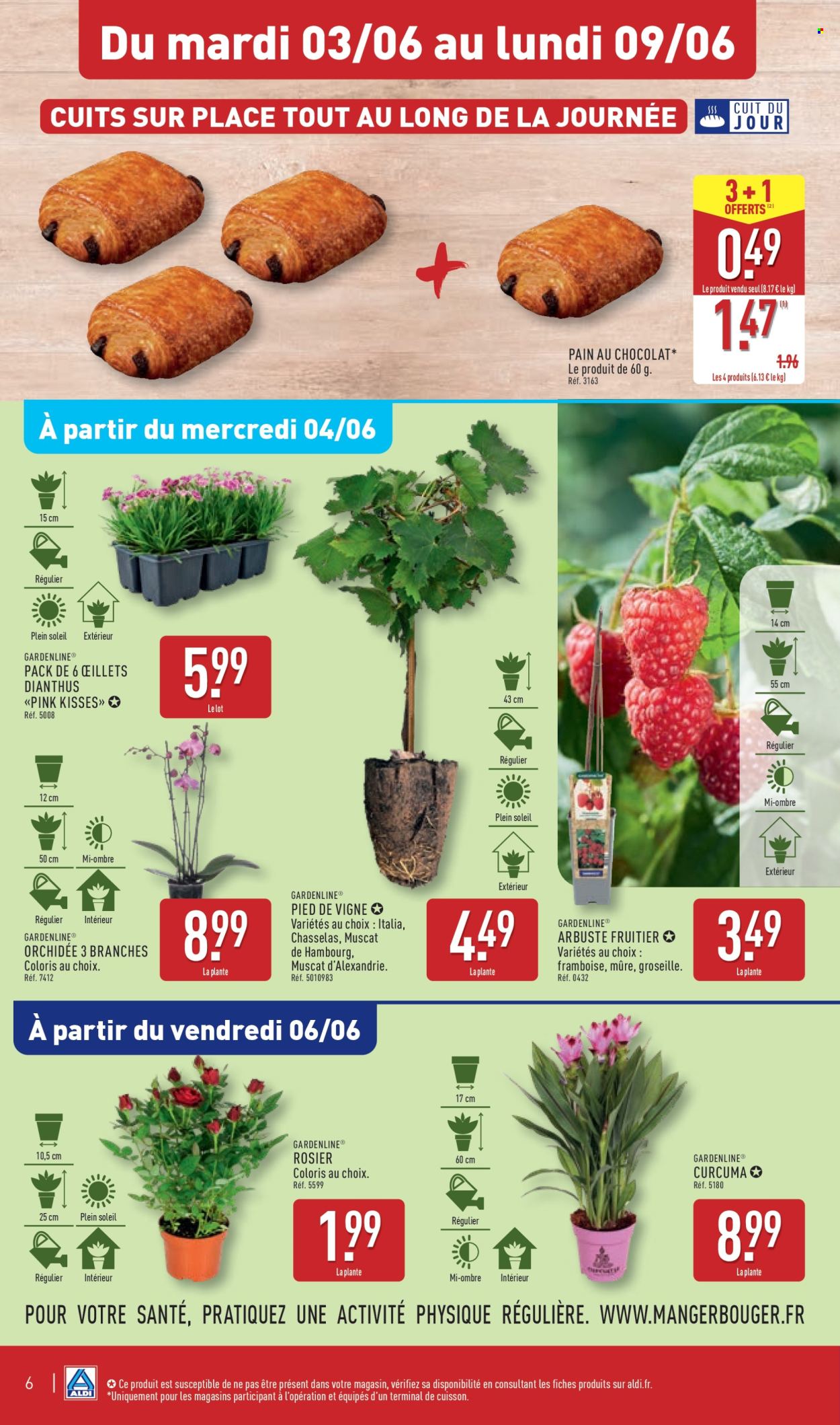 Catalogue ALDI - 03/06/2025 - 09/06/2025. Page 9