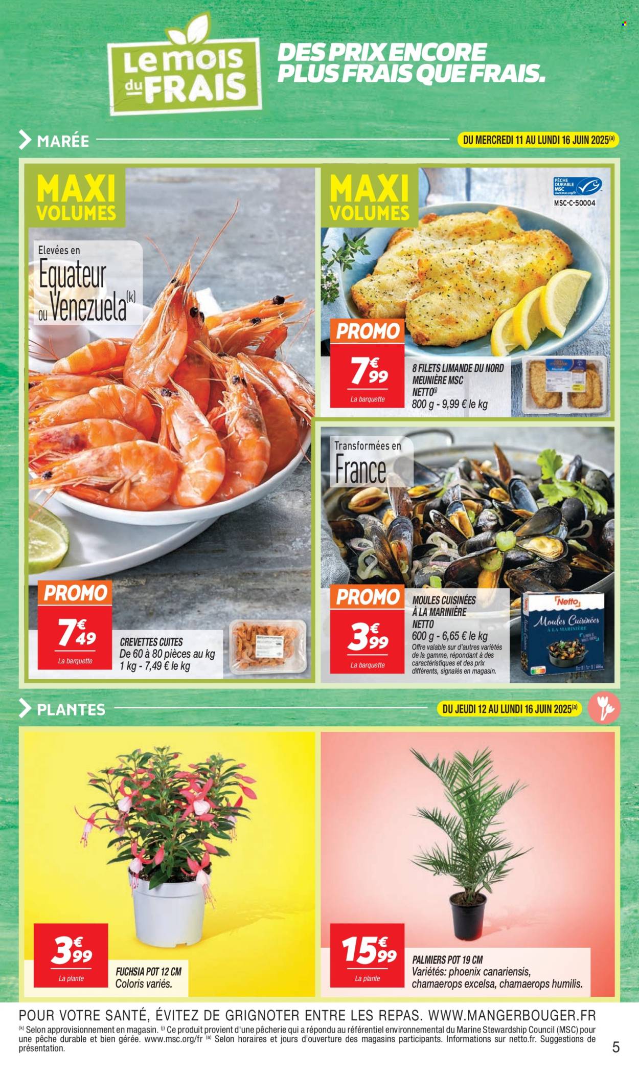 Catalogue Netto - 10/06/2025 - 16/06/2025. Page 5