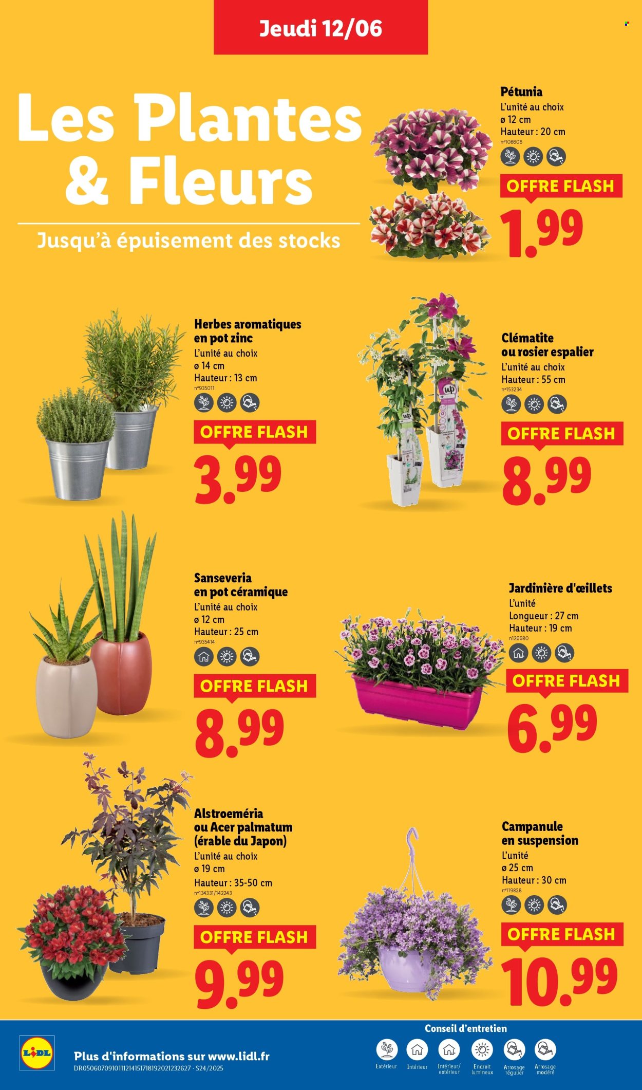 Catalogue Lidl - 12/06/2025 - 18/06/2025. Page 28