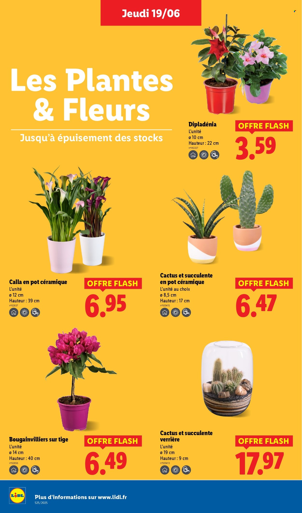 Catalogue Lidl - 19/06/2025 - 25/06/2025. Page 28