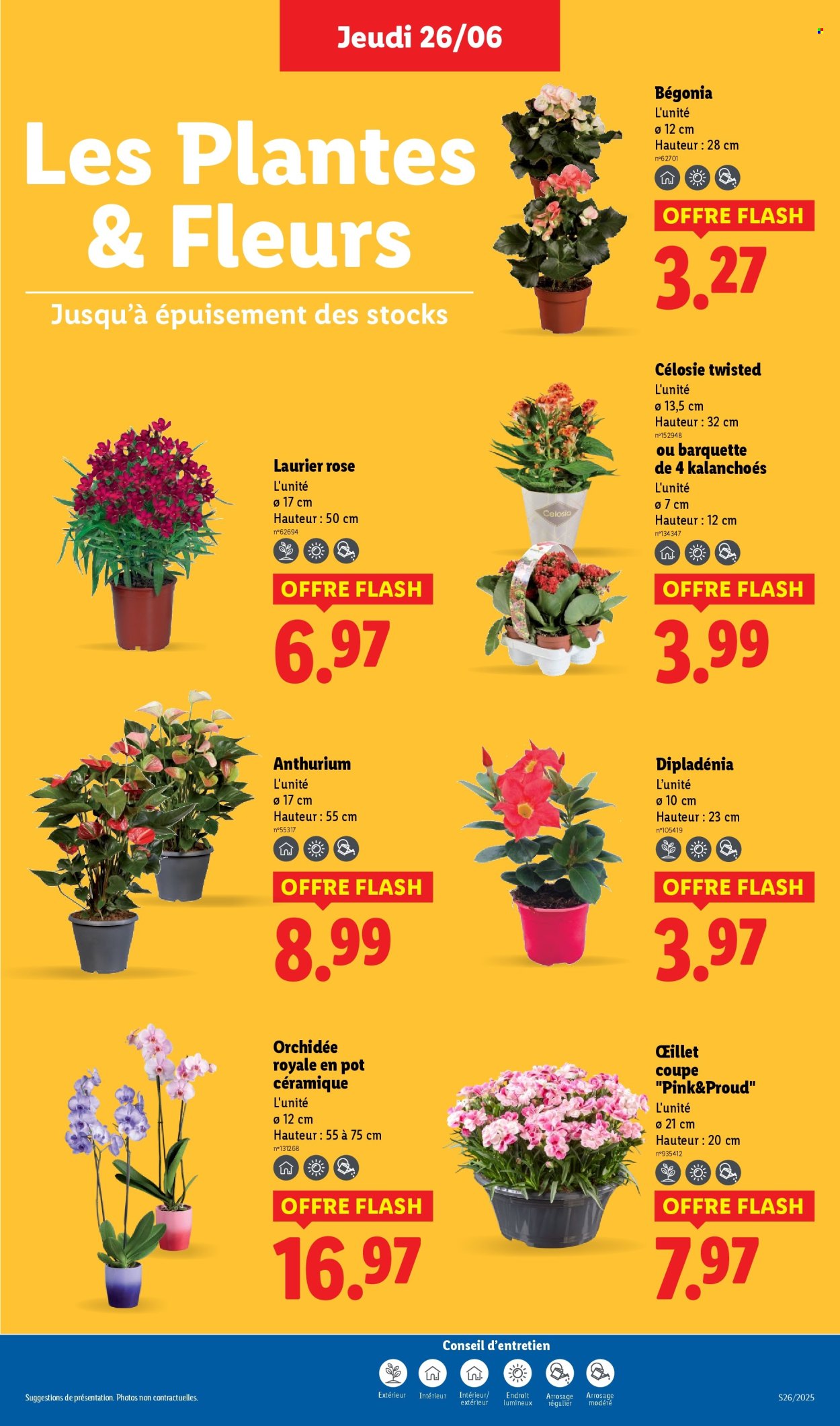 Catalogue Lidl - 26/06/2025 - 02/07/2025. Page 29