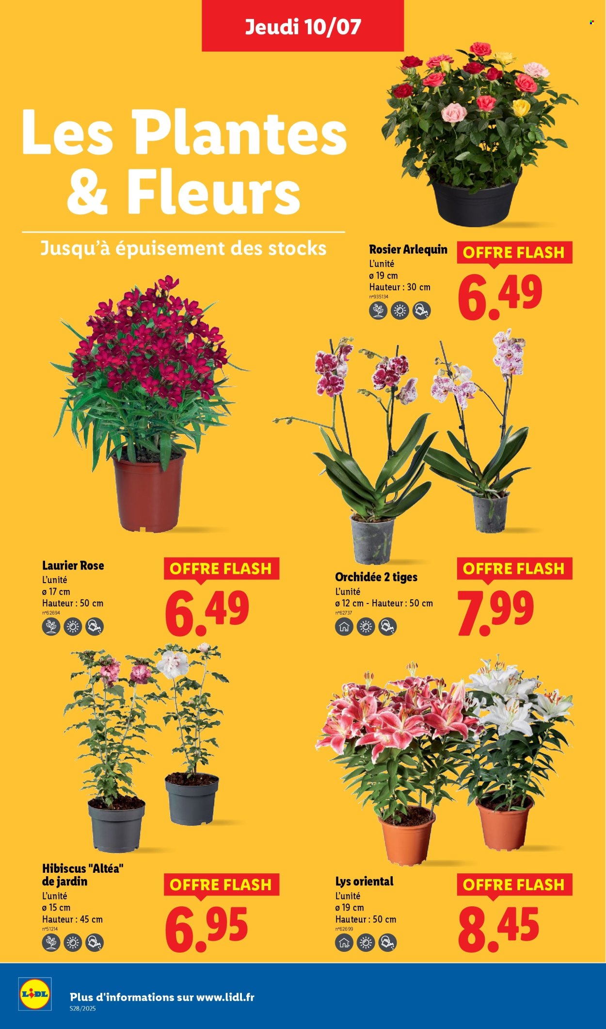 Catalogue Lidl - 10/07/2025 - 16/07/2025. Page 28