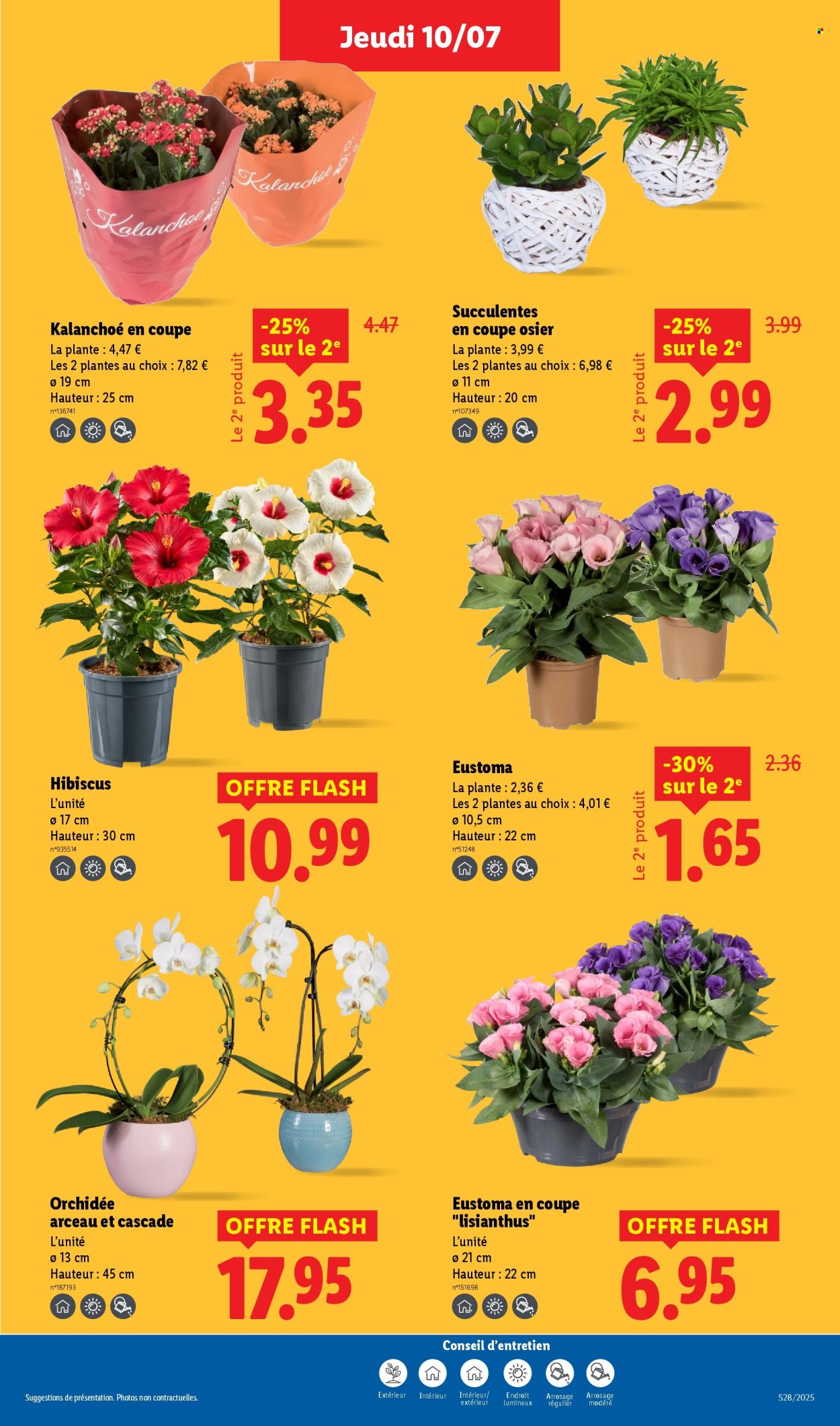 Catalogue Lidl - 10/07/2025 - 16/07/2025. Page 29