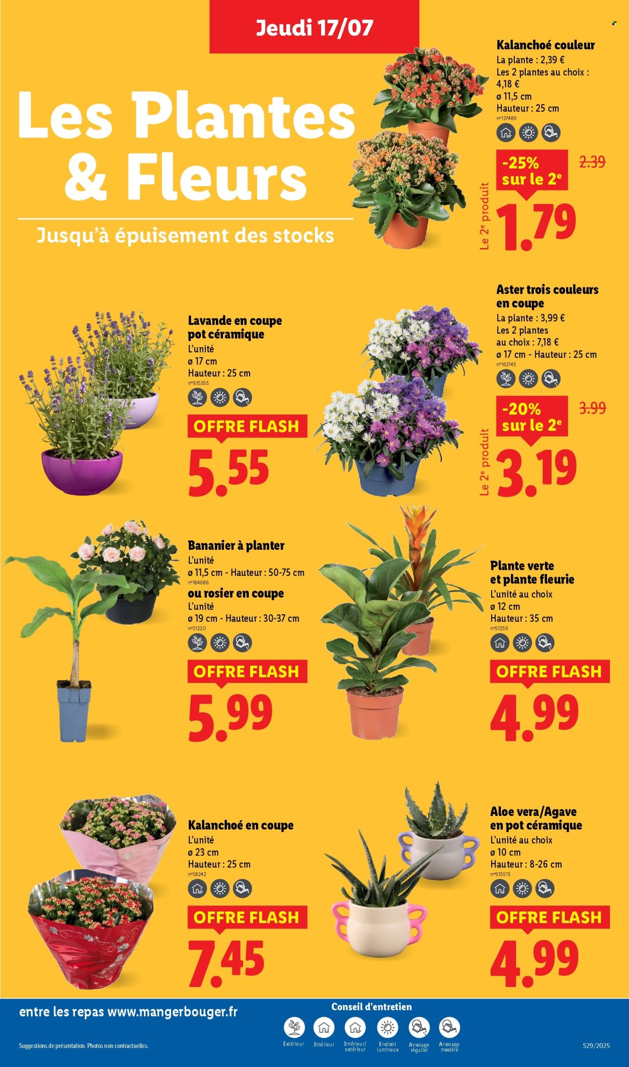 Catalogue Lidl - 17/07/2025 - 23/07/2025. Page 29